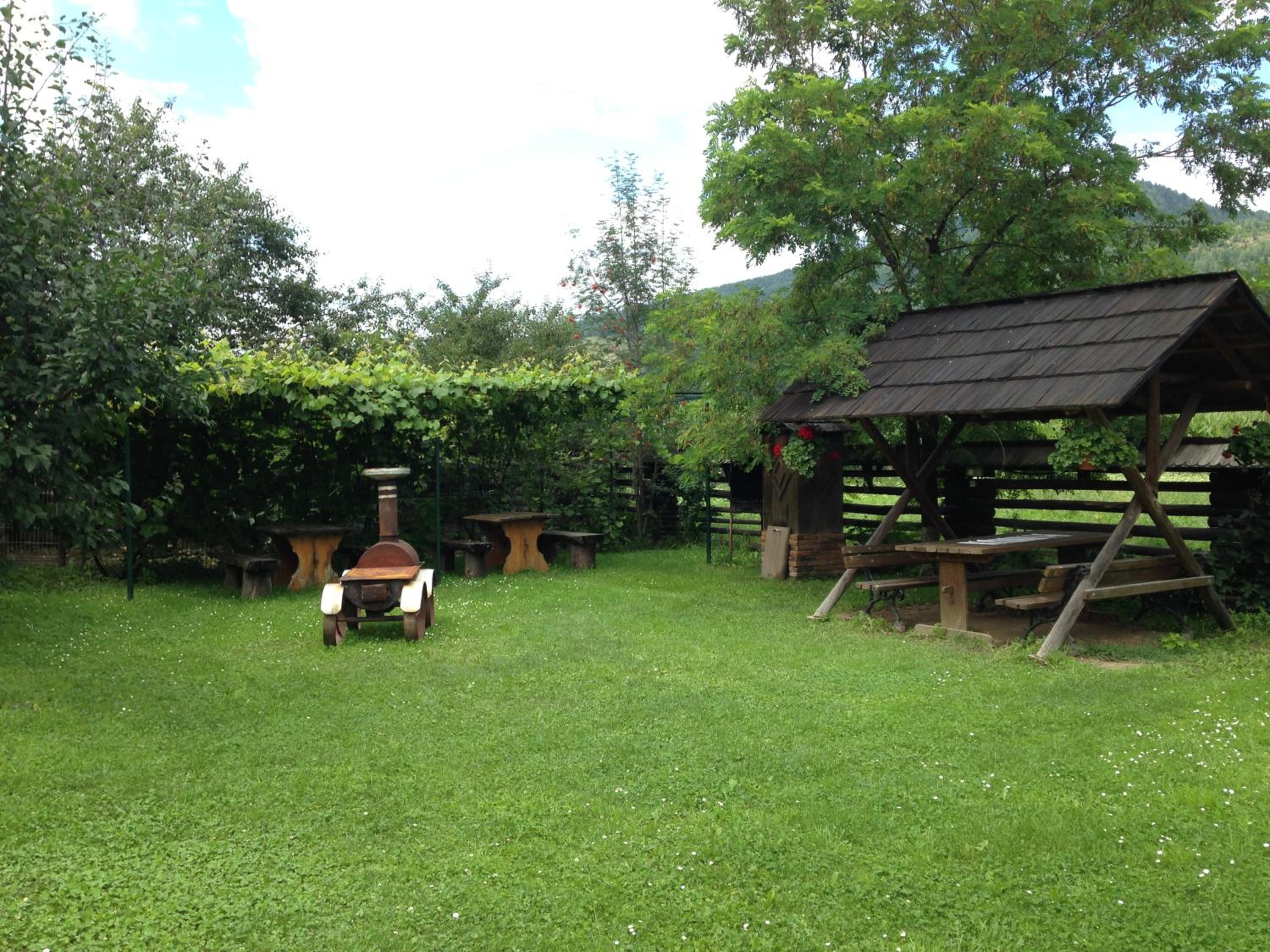 Photo 24