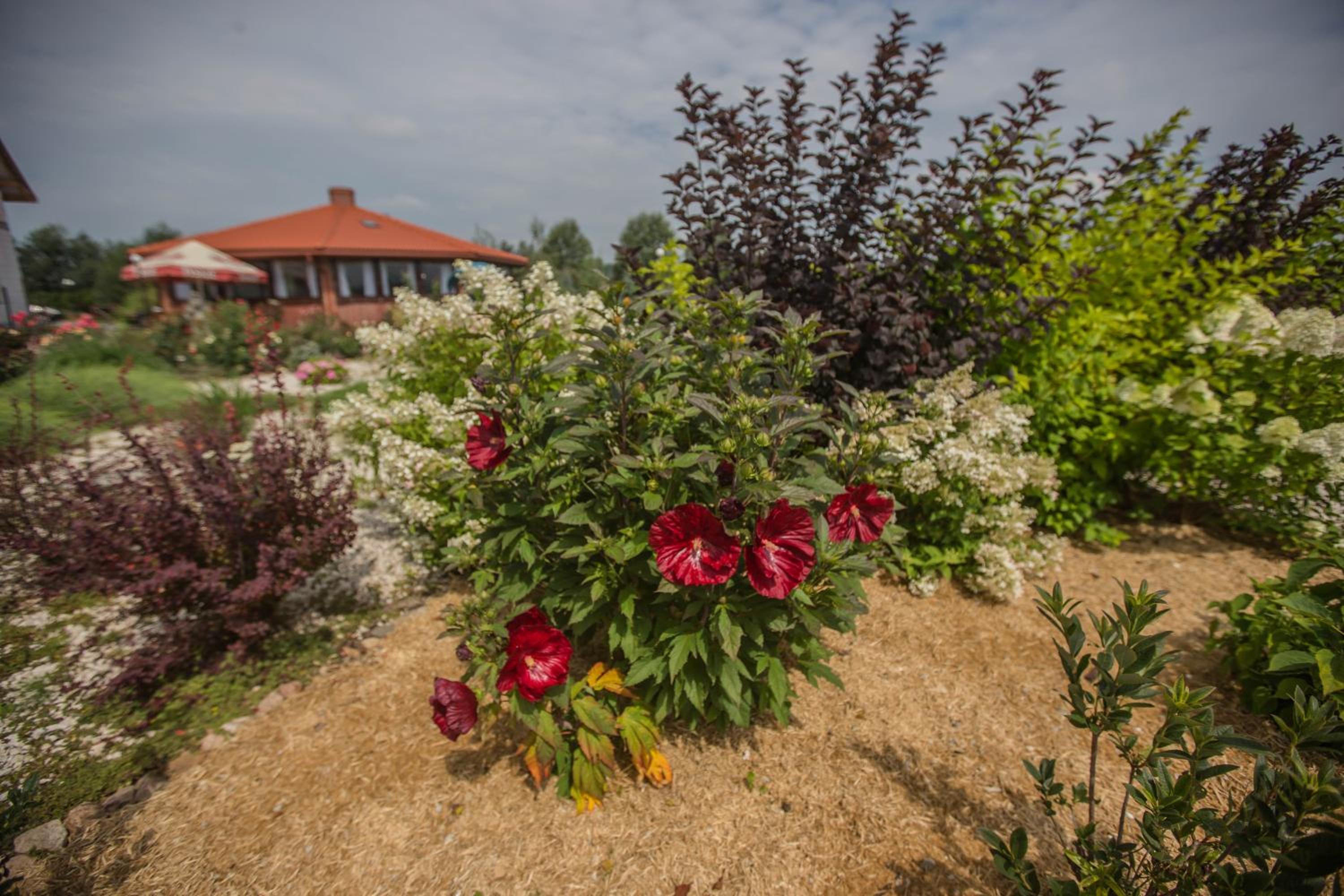 Photo 8