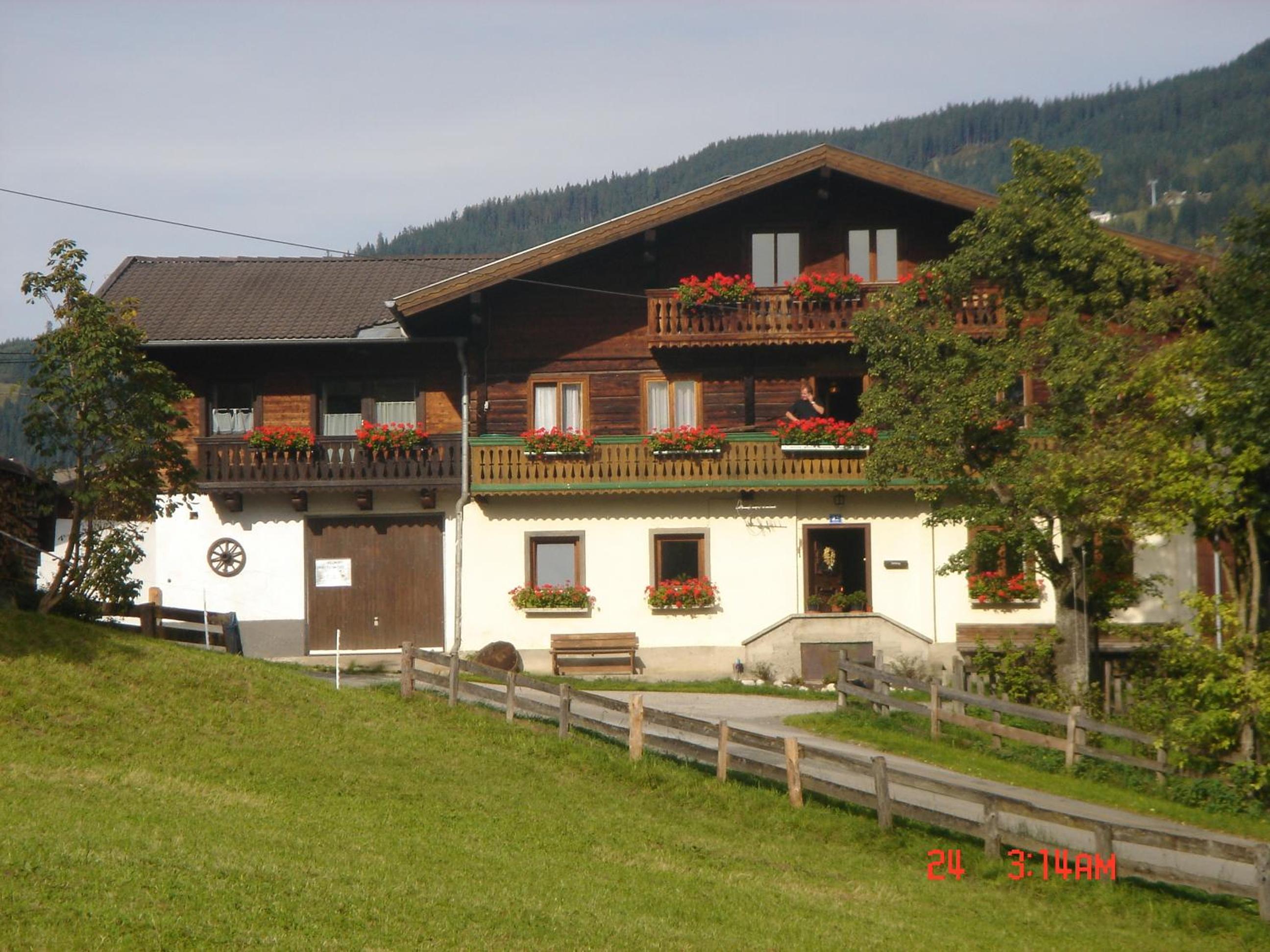 Photo 16