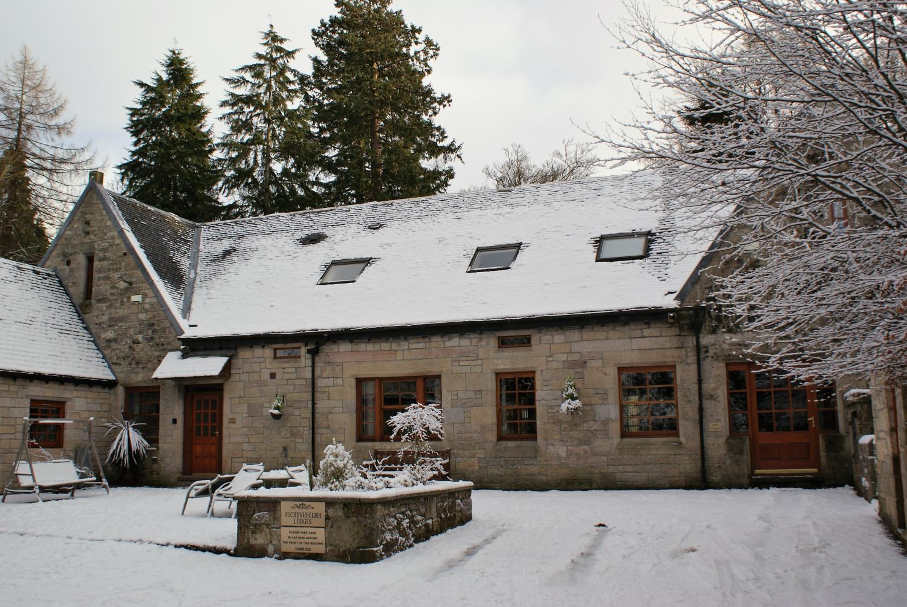 Photo 6