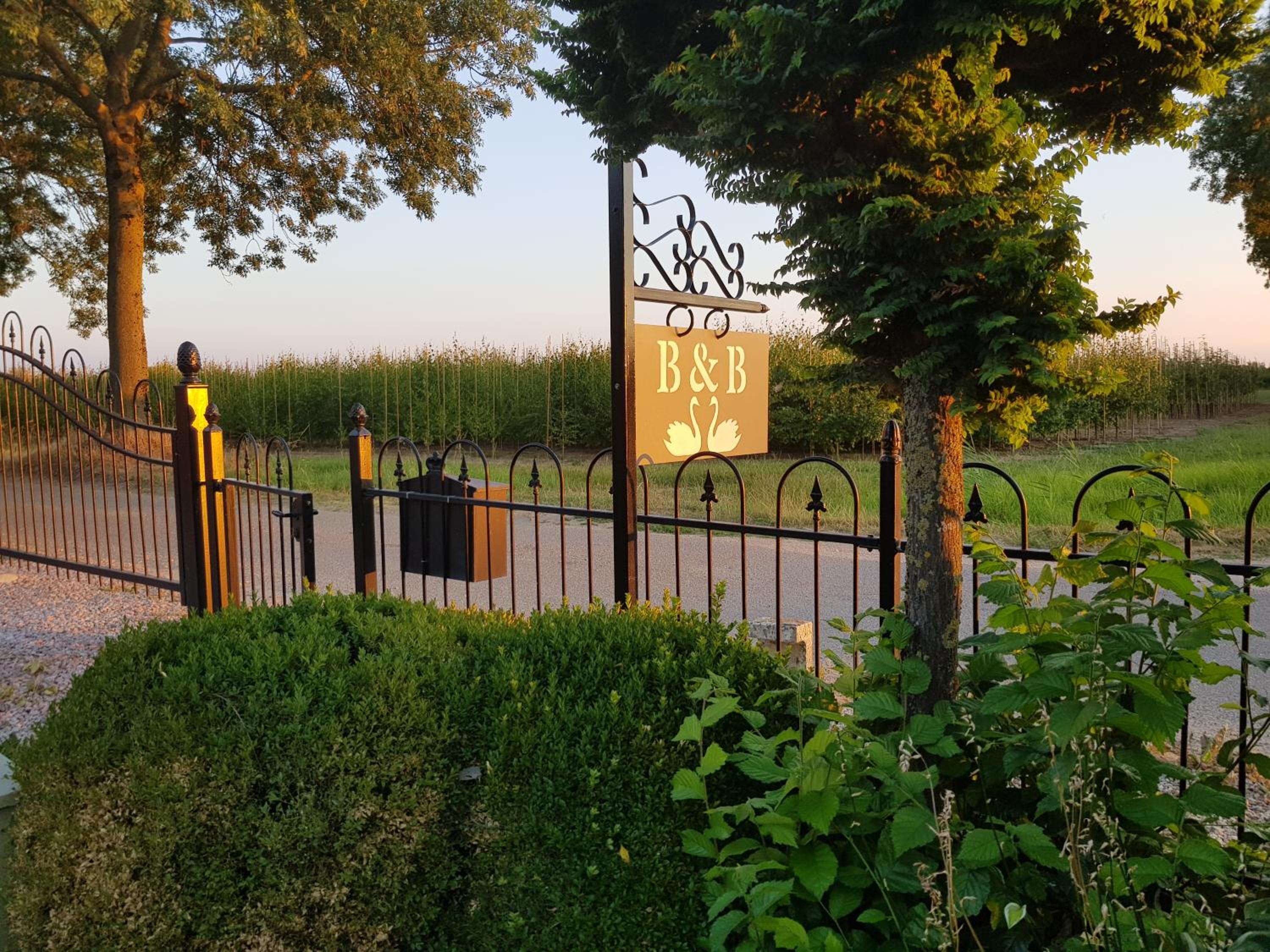 Photo 33
