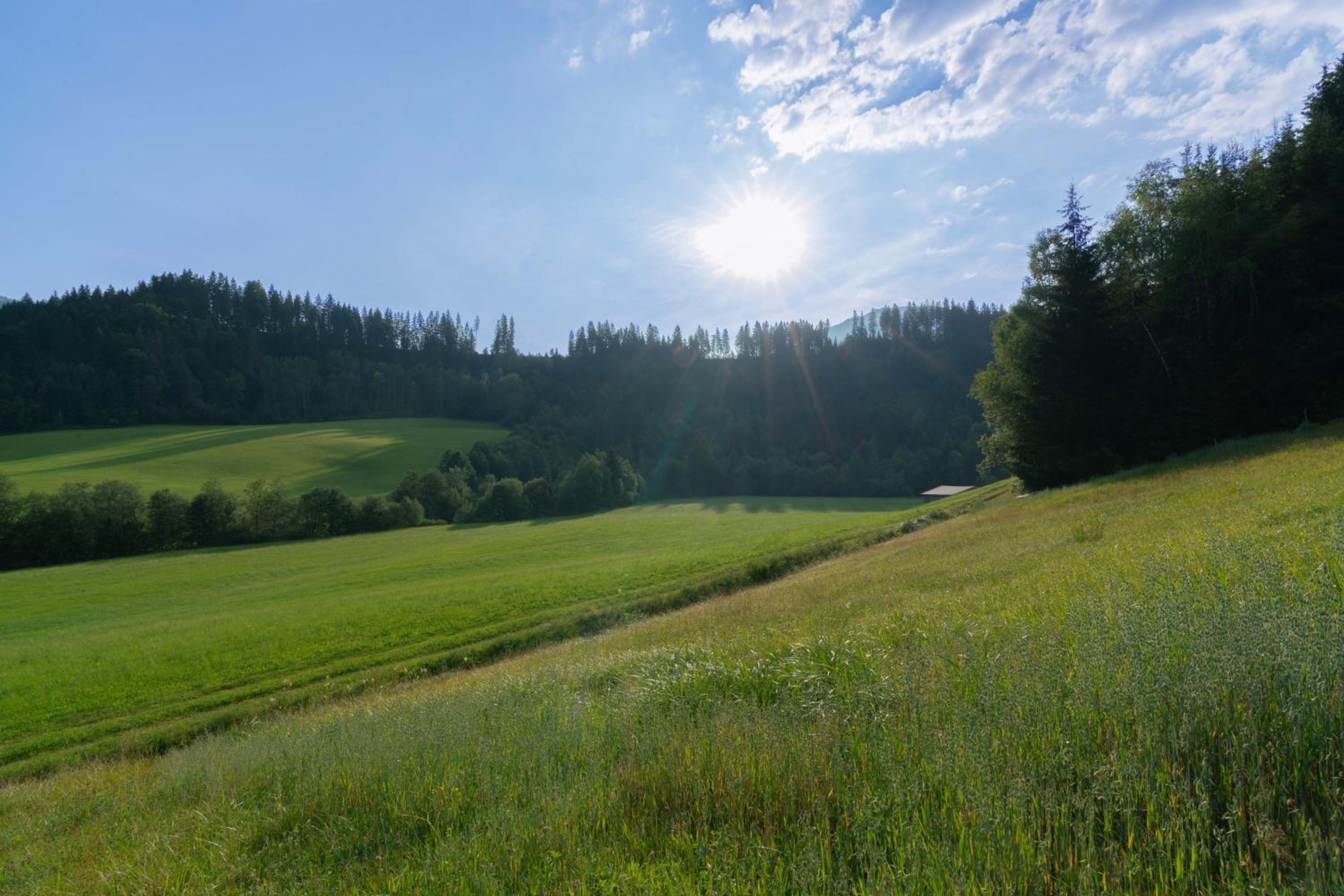 Getznerhof