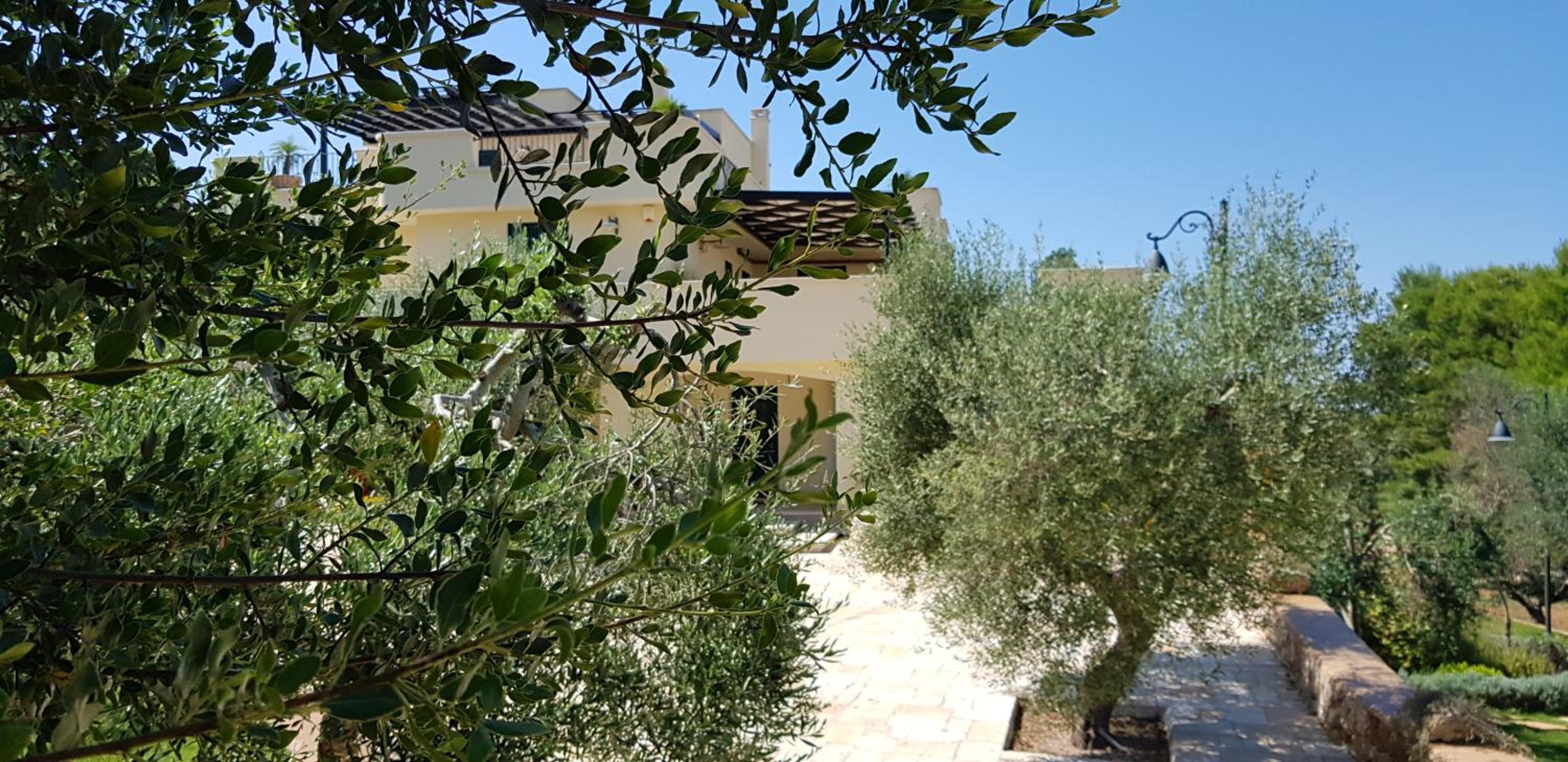 Photo 48