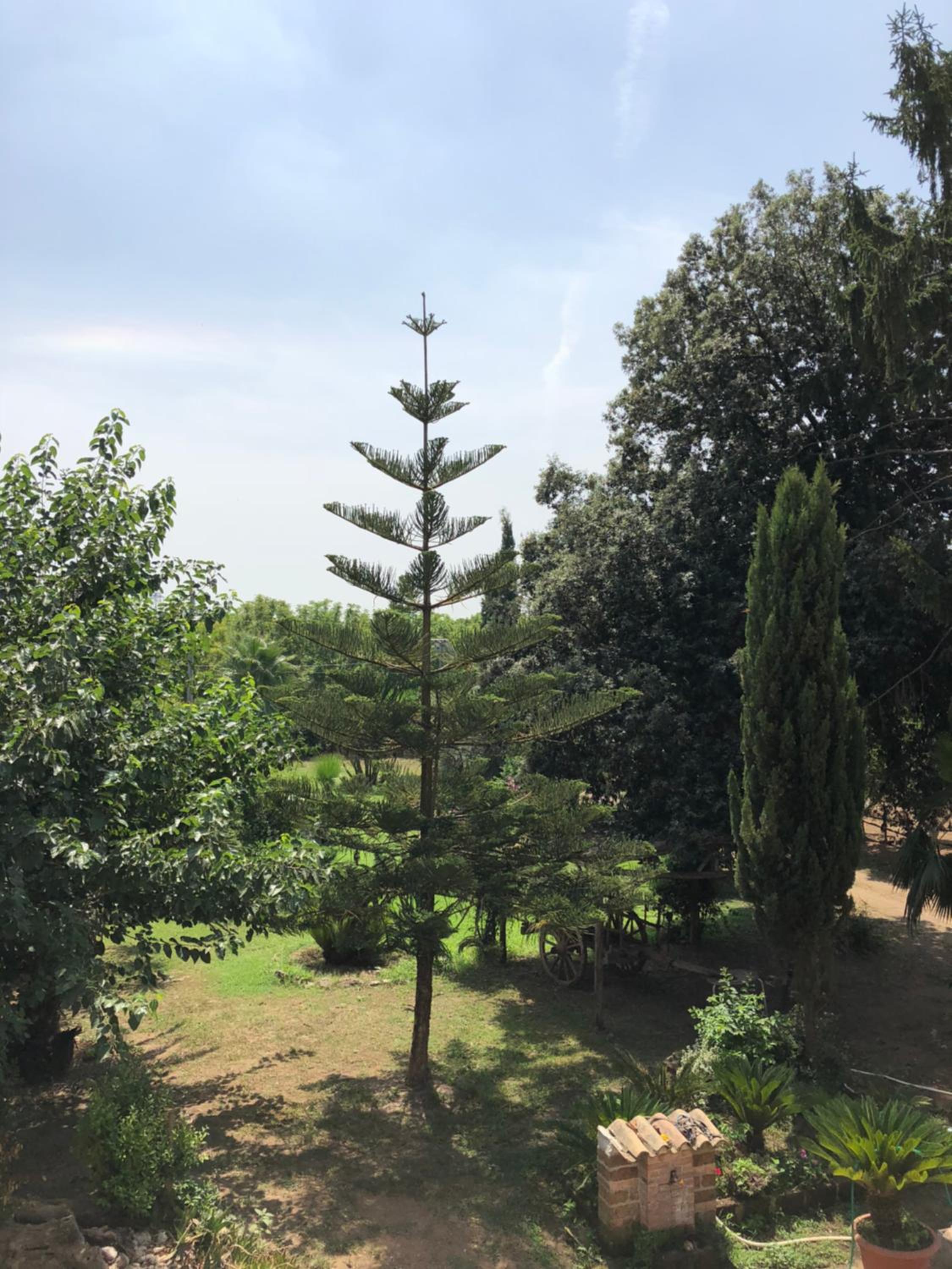 Decri resort, photo 140