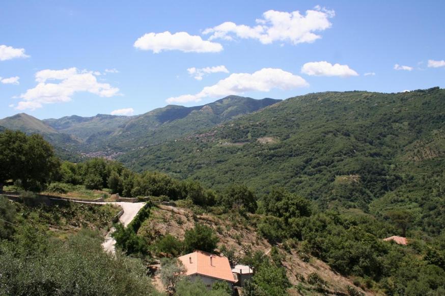 Agriturismo Don Cesarino