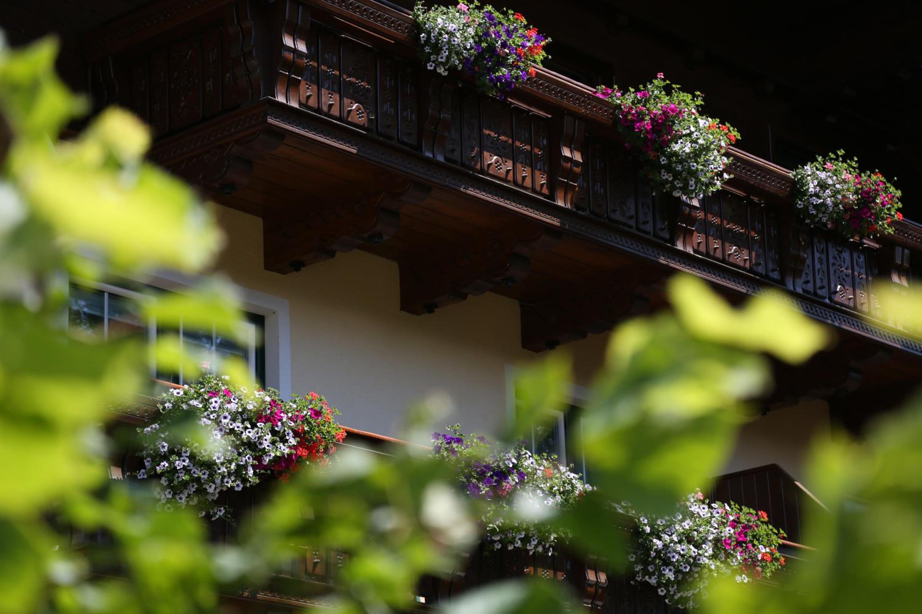 Appartments am Esslgut