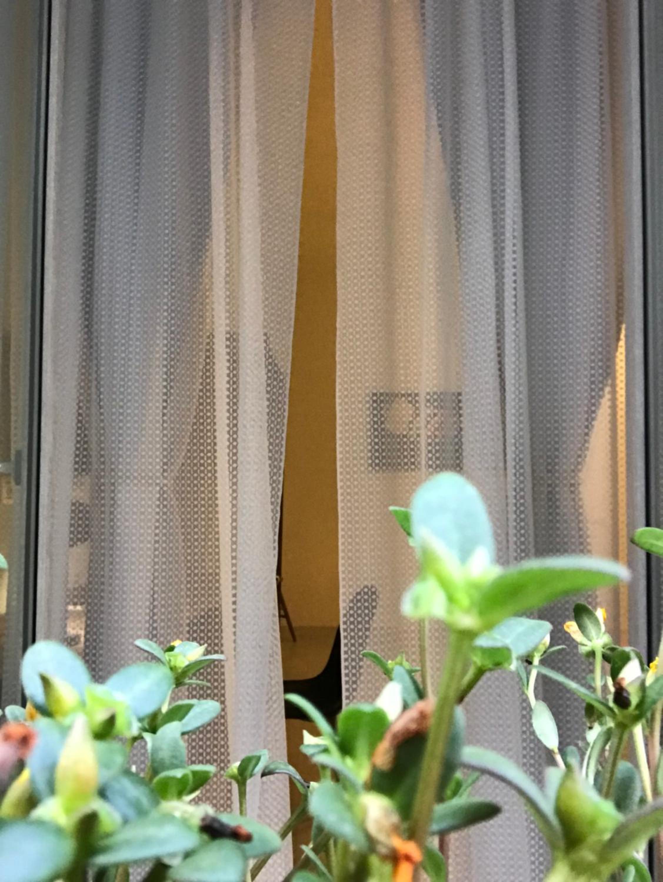 Casa90 Room in Naples
