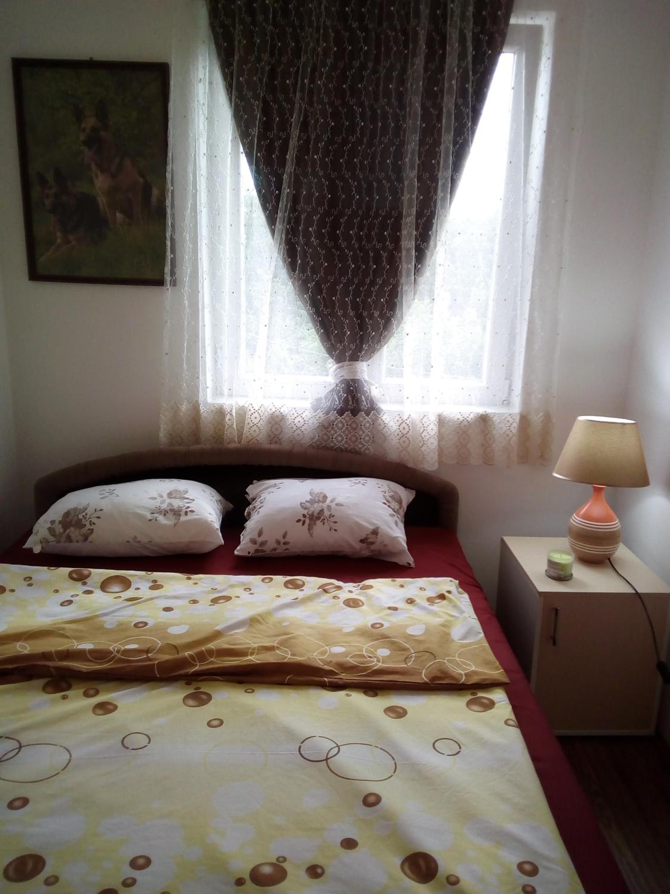 Photo 53