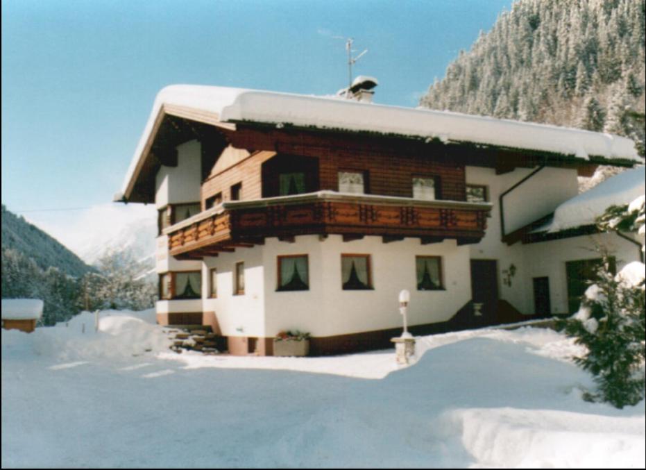 Photo 46
