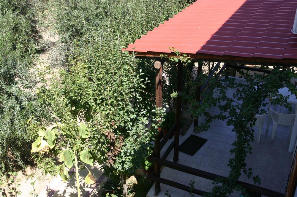 Photo 44