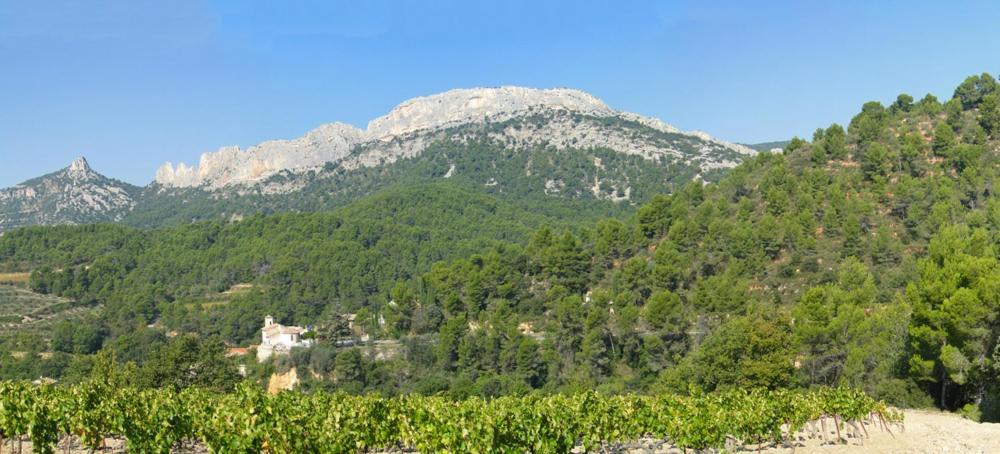 Le Domaine de Patris, photo 31