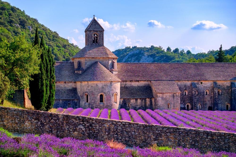 Le Domaine de Patris, photo 73