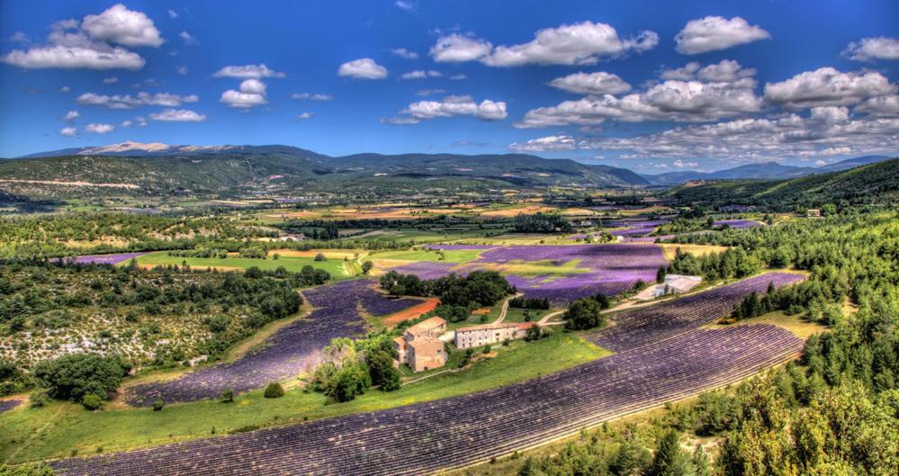 Le Domaine de Patris, photo 69