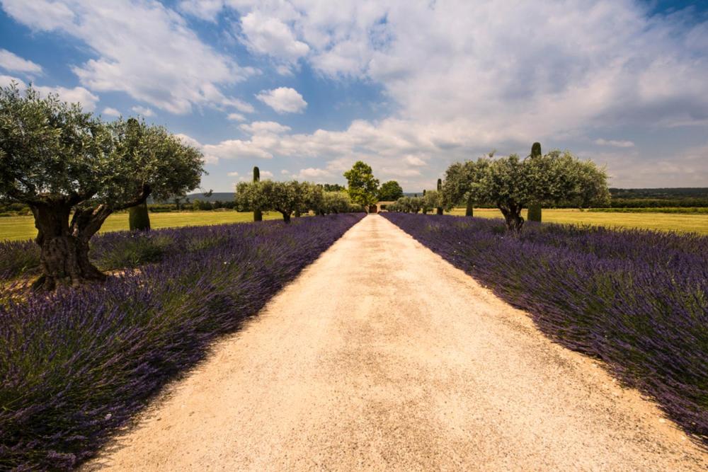 Le Domaine de Patris, photo 67
