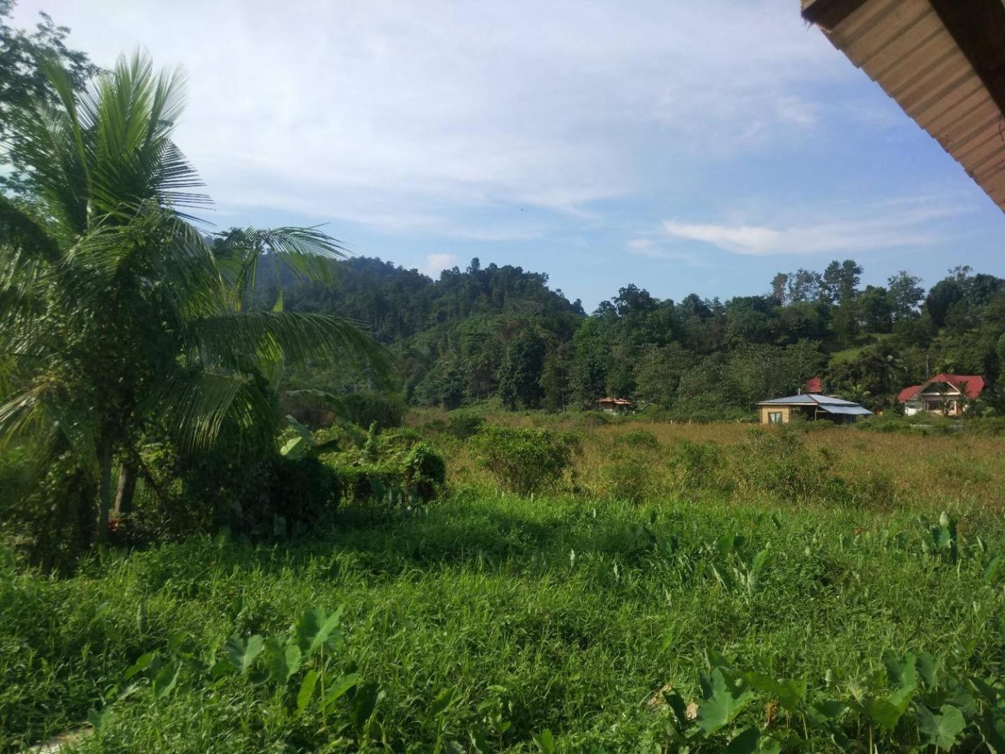 Nelmann's Nipa Huts