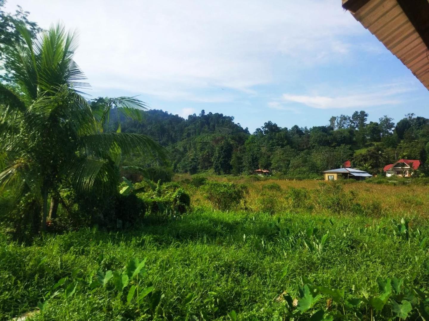 Nelmann's Nipa Huts