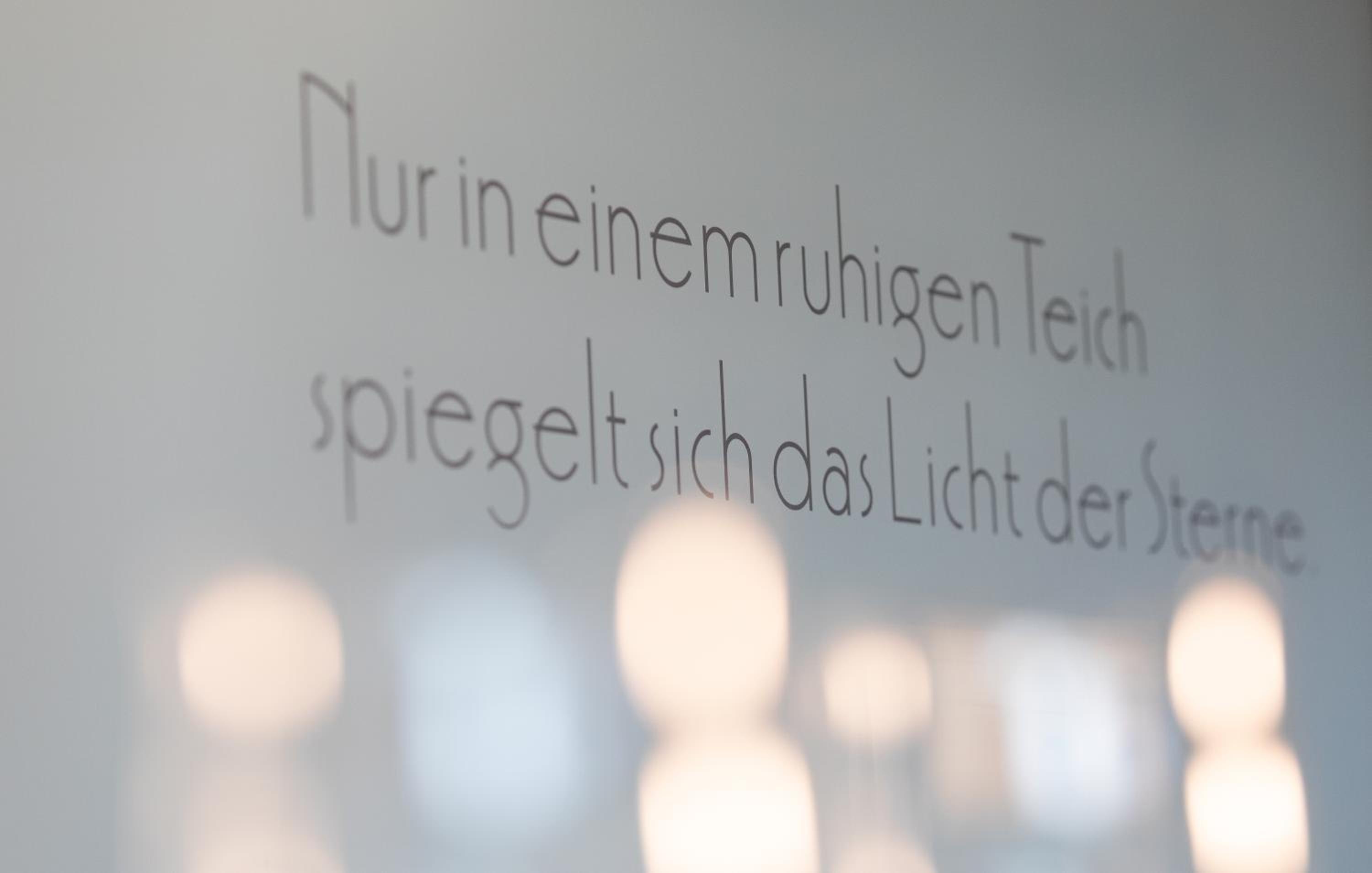 ''die Bergerin'' | Appartements Schladming