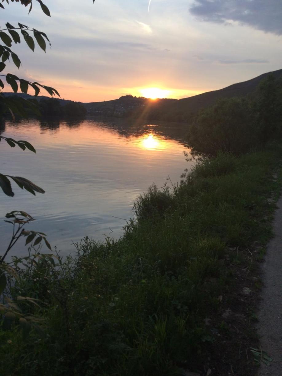 FeWo Freis in Brauneberg