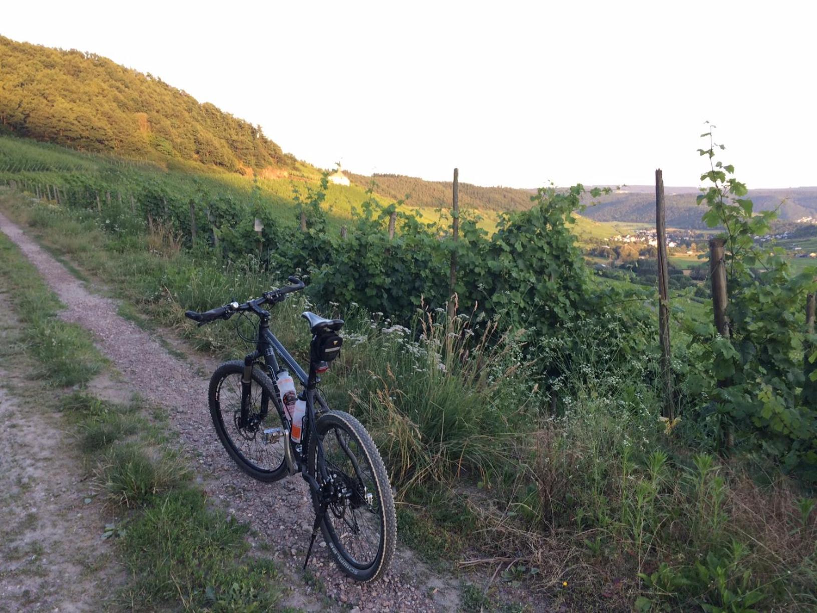FeWo Freis in Brauneberg