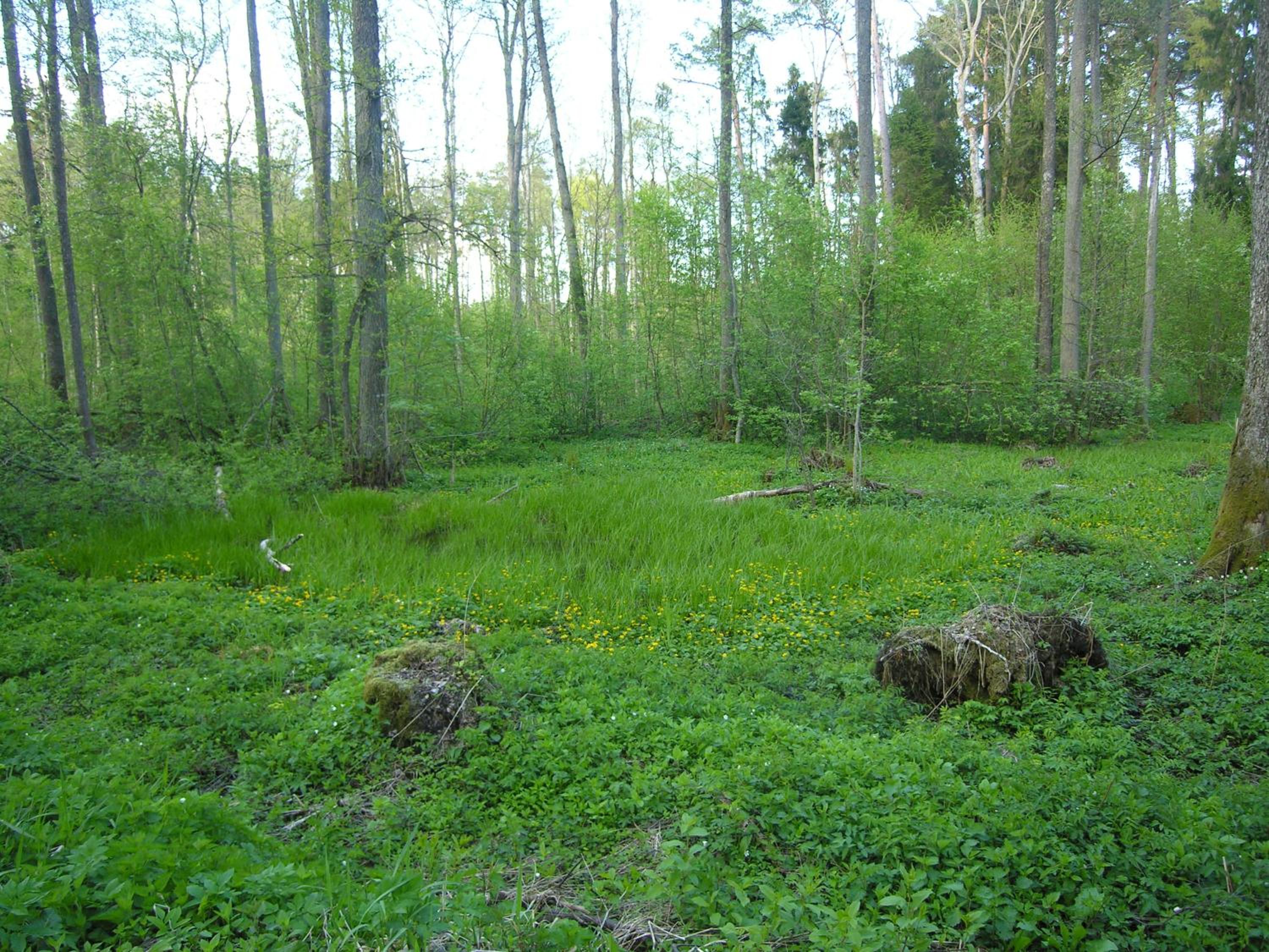 Photo 14