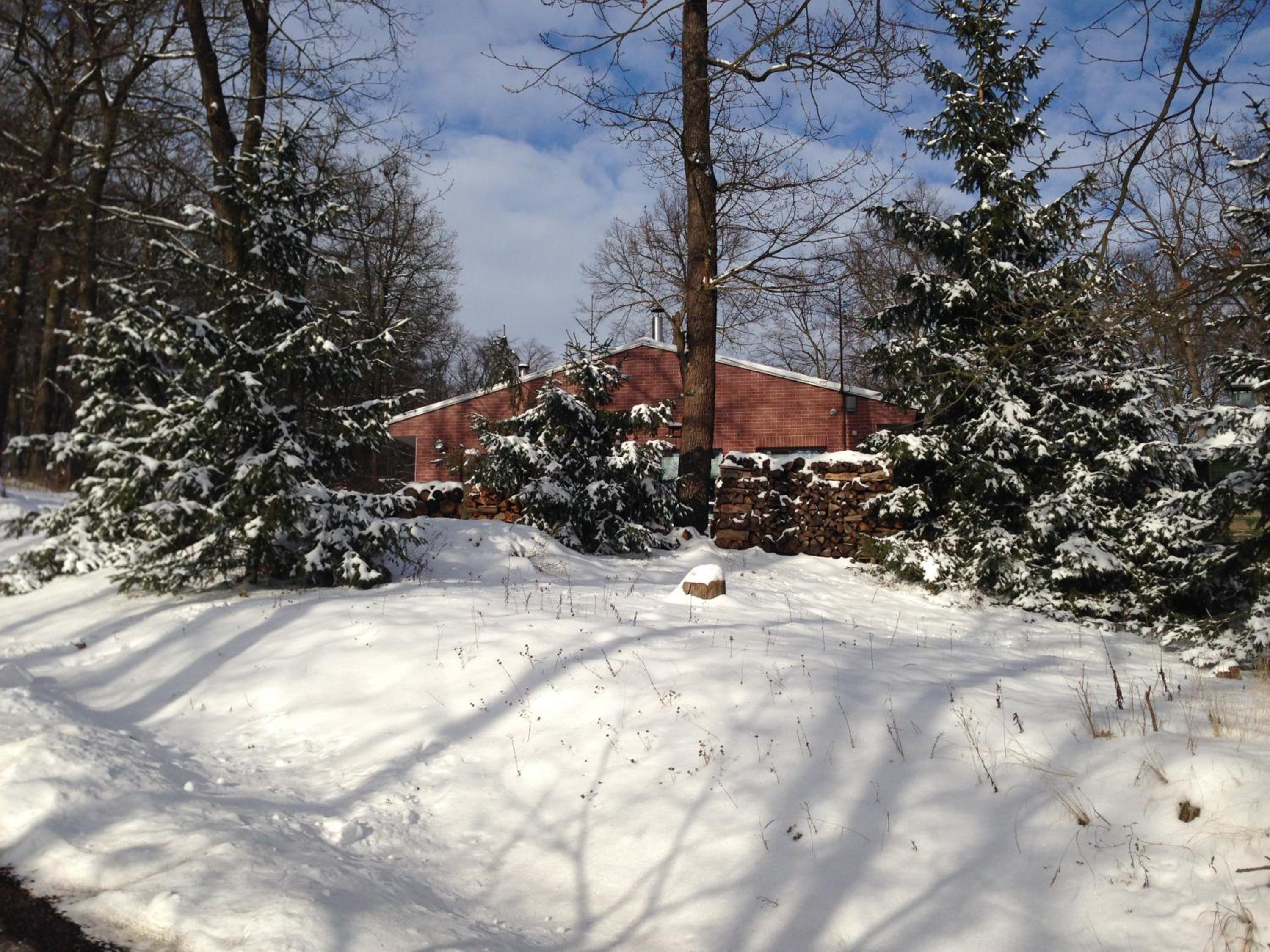 Photo 37