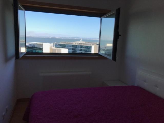 Panoramic Dreams