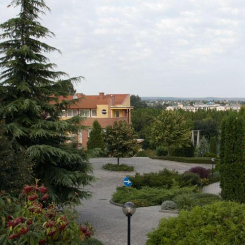 Photo 20
