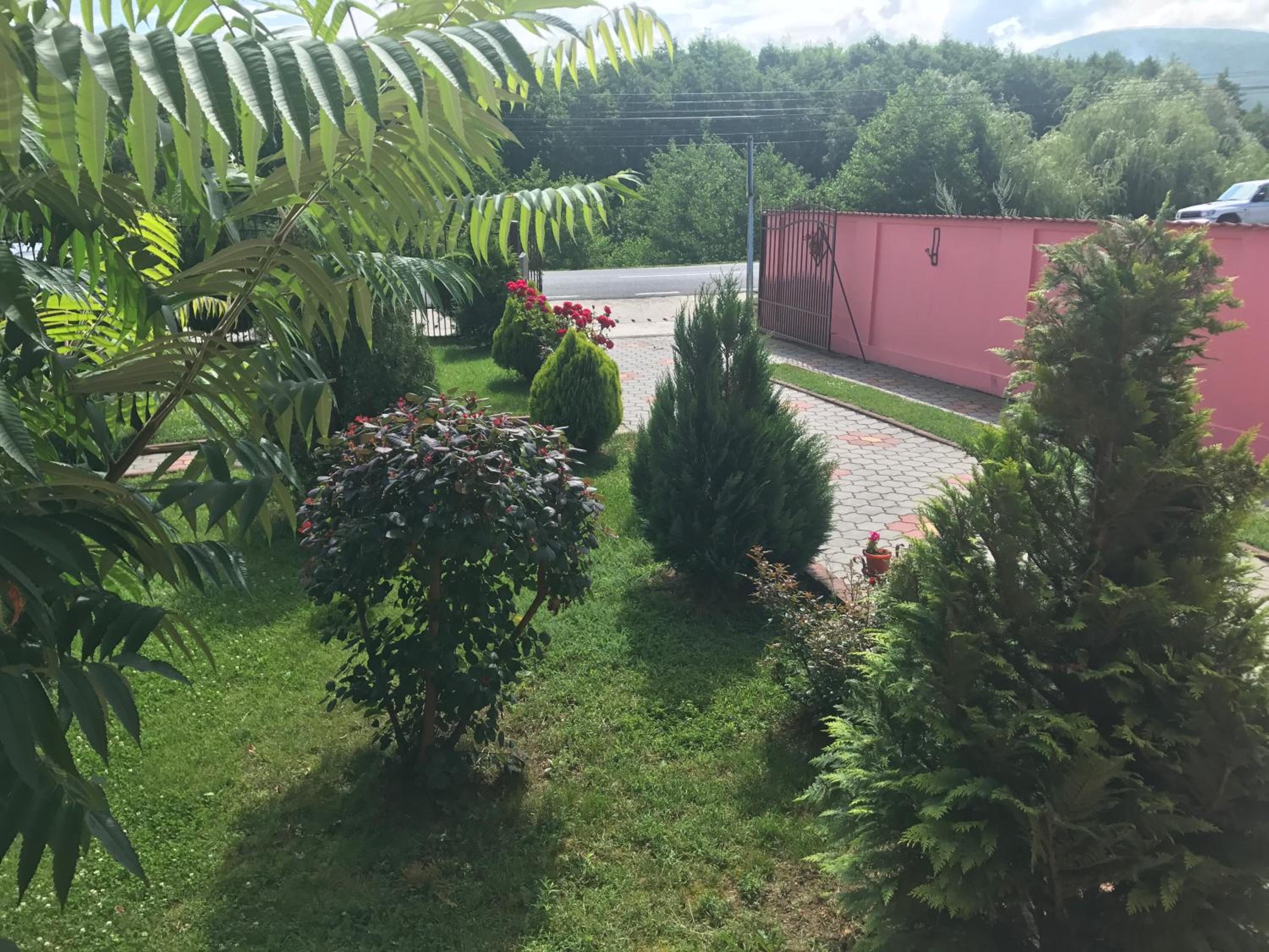 Vila La Izvor view 2