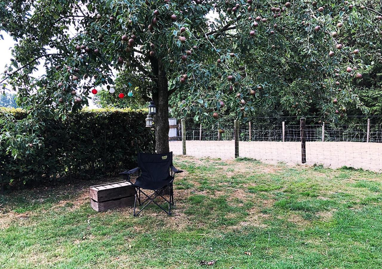 B&B Zandhuizen