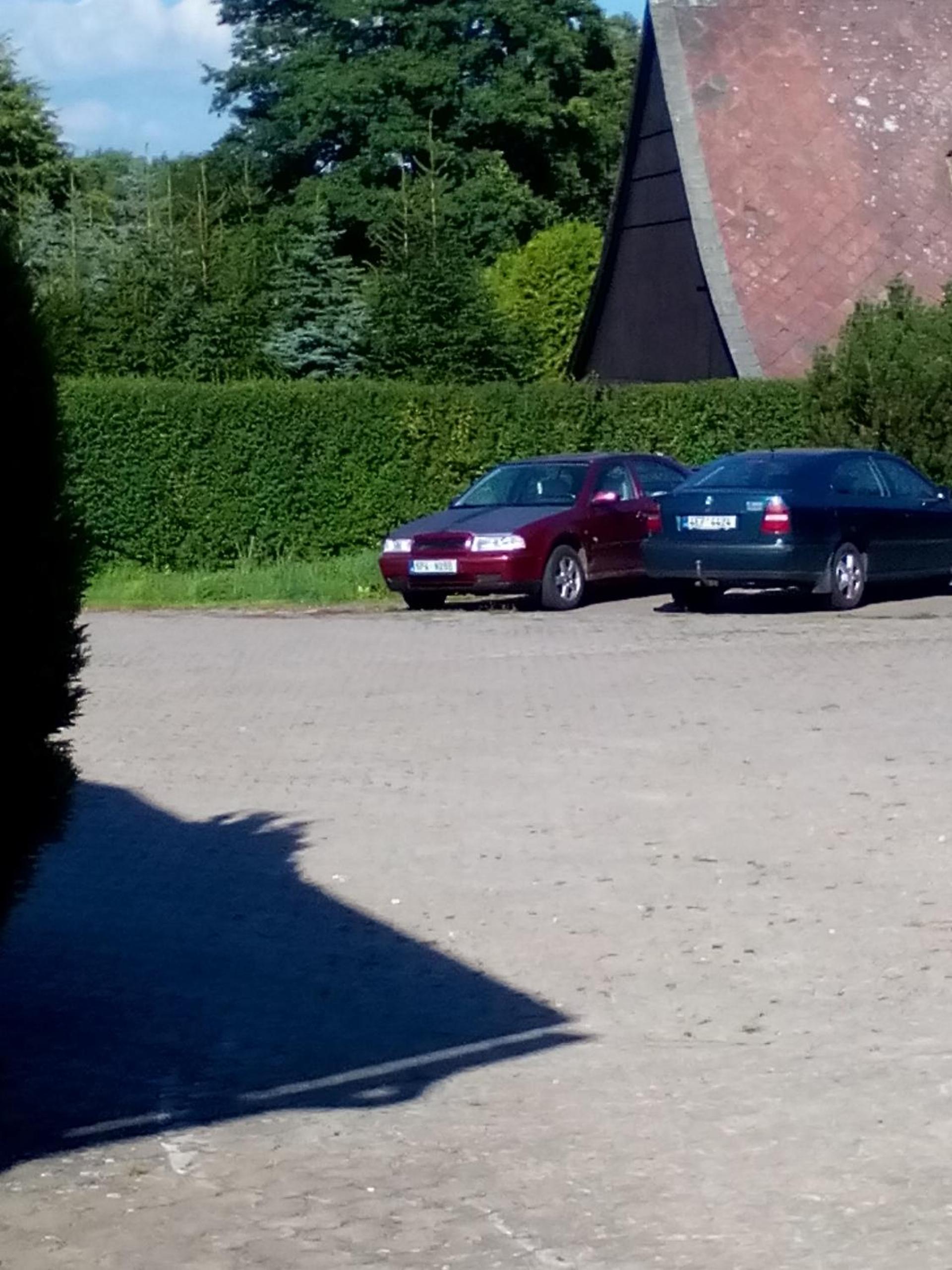 U nových přátel