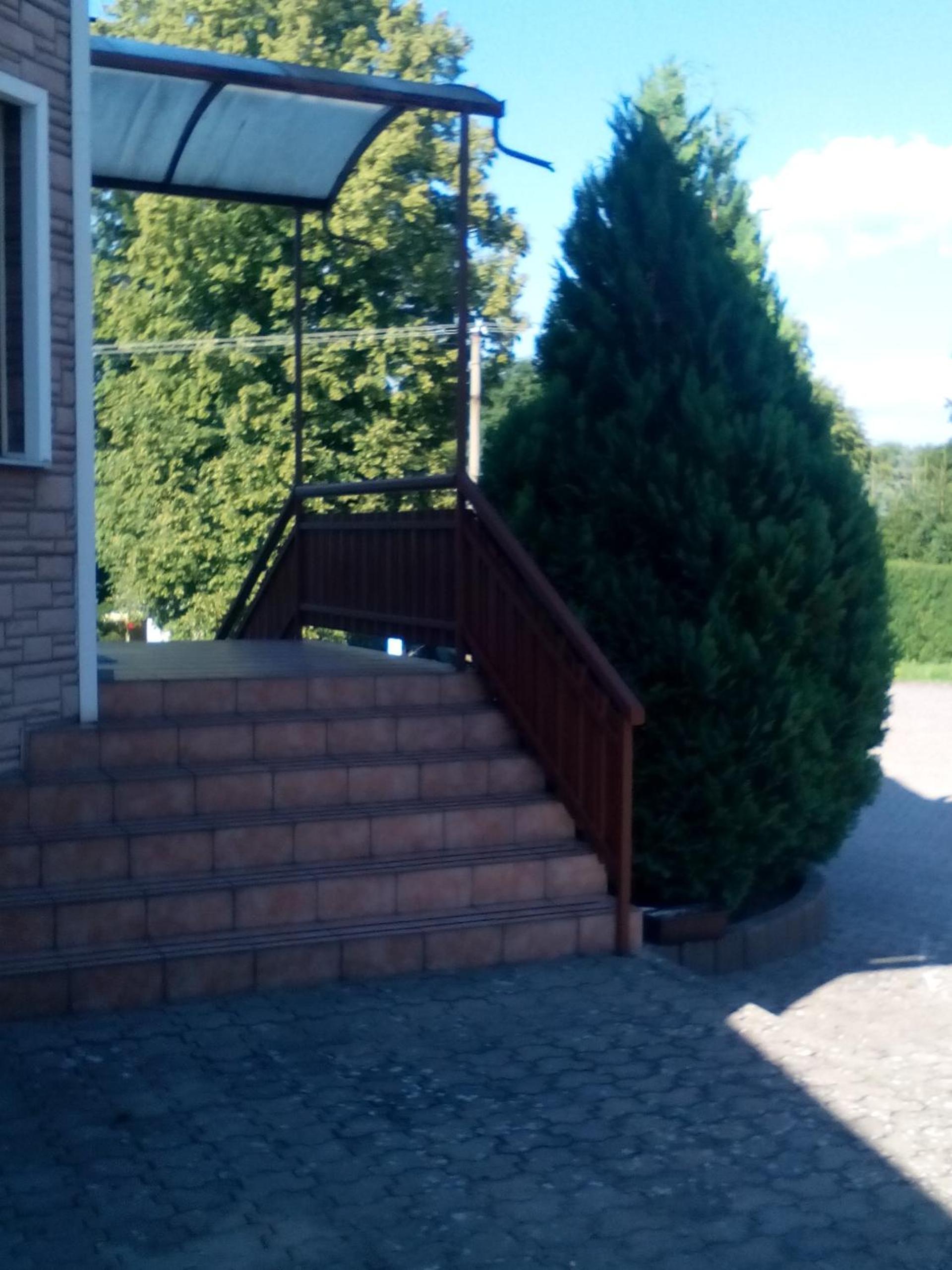 U nových přátel