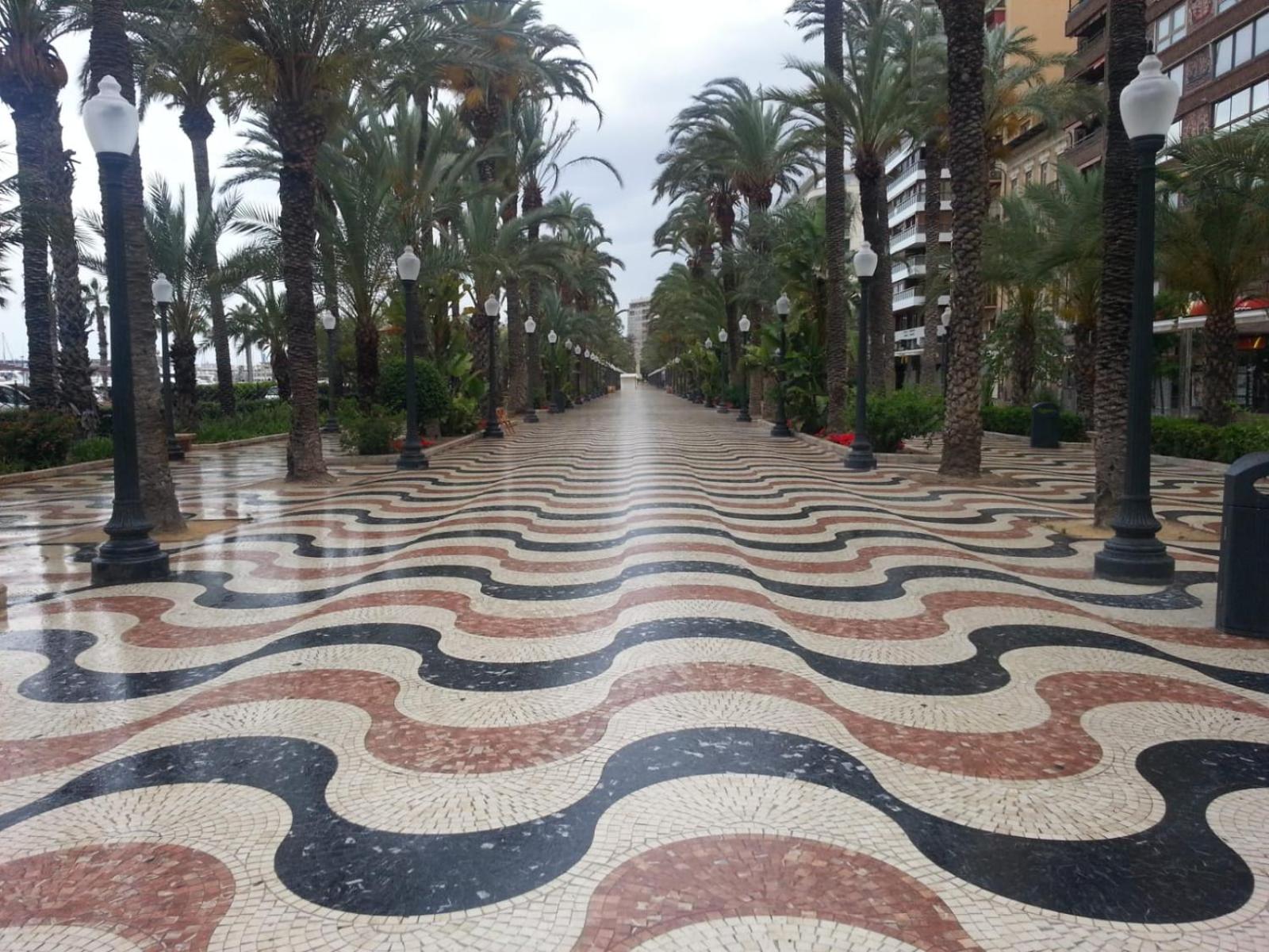 Apartamento-estudio Corazón de Alicante view 4