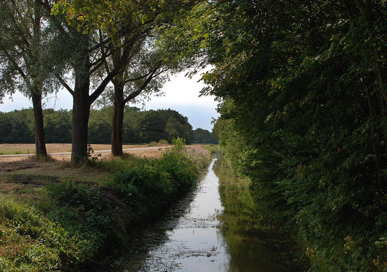 B&B Zandhuizen