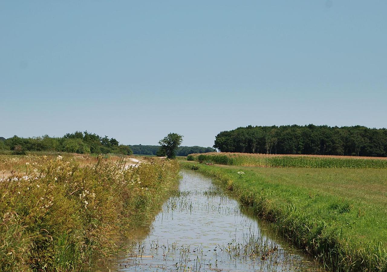B&B Zandhuizen