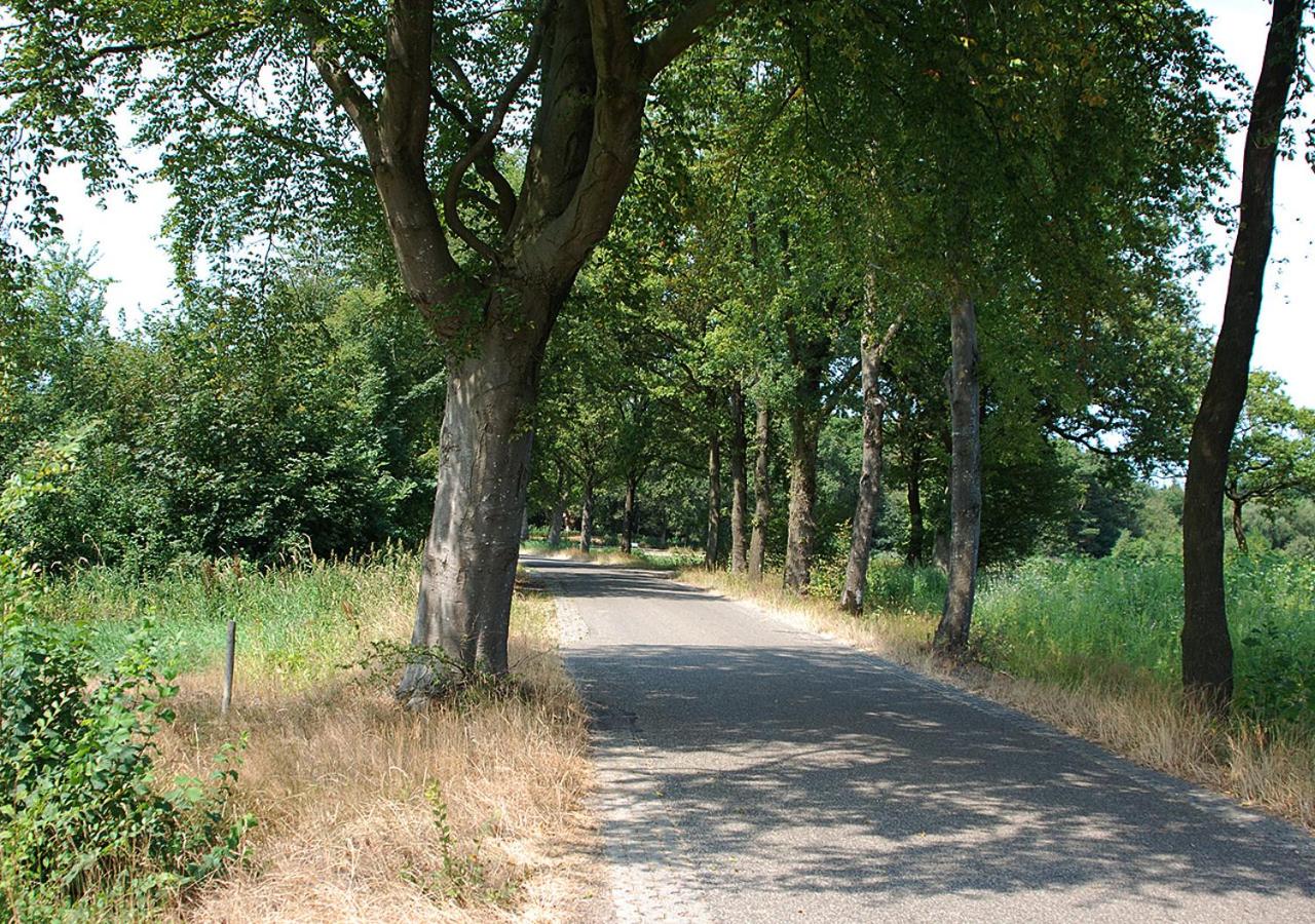B&B Zandhuizen