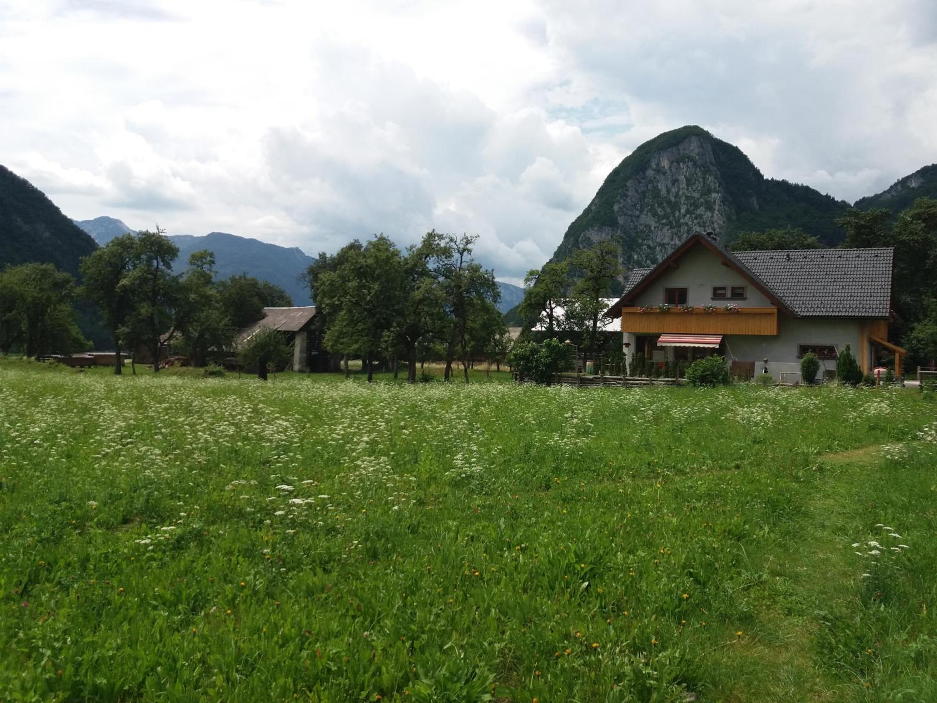 Apartmaji Bremec view 4