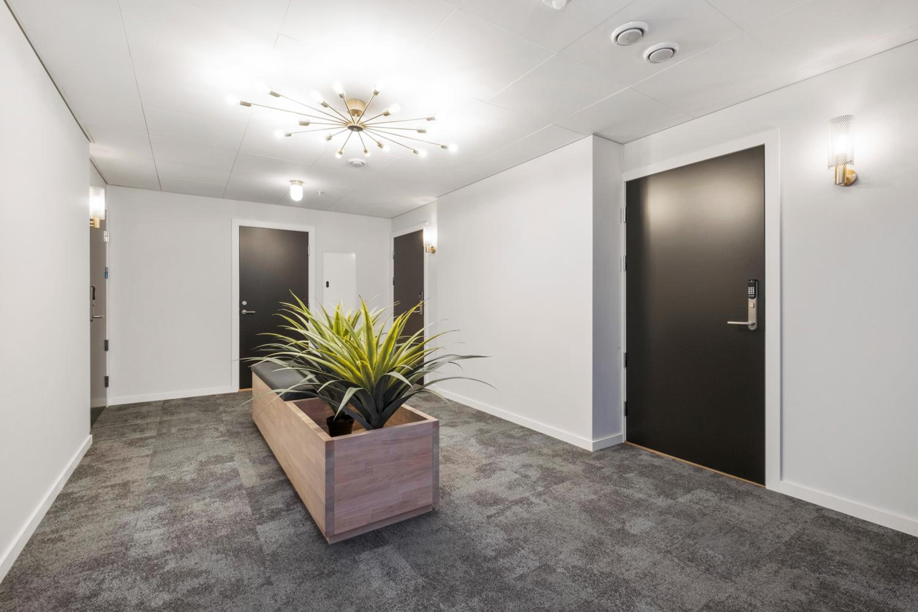 VANDER - Sea Story