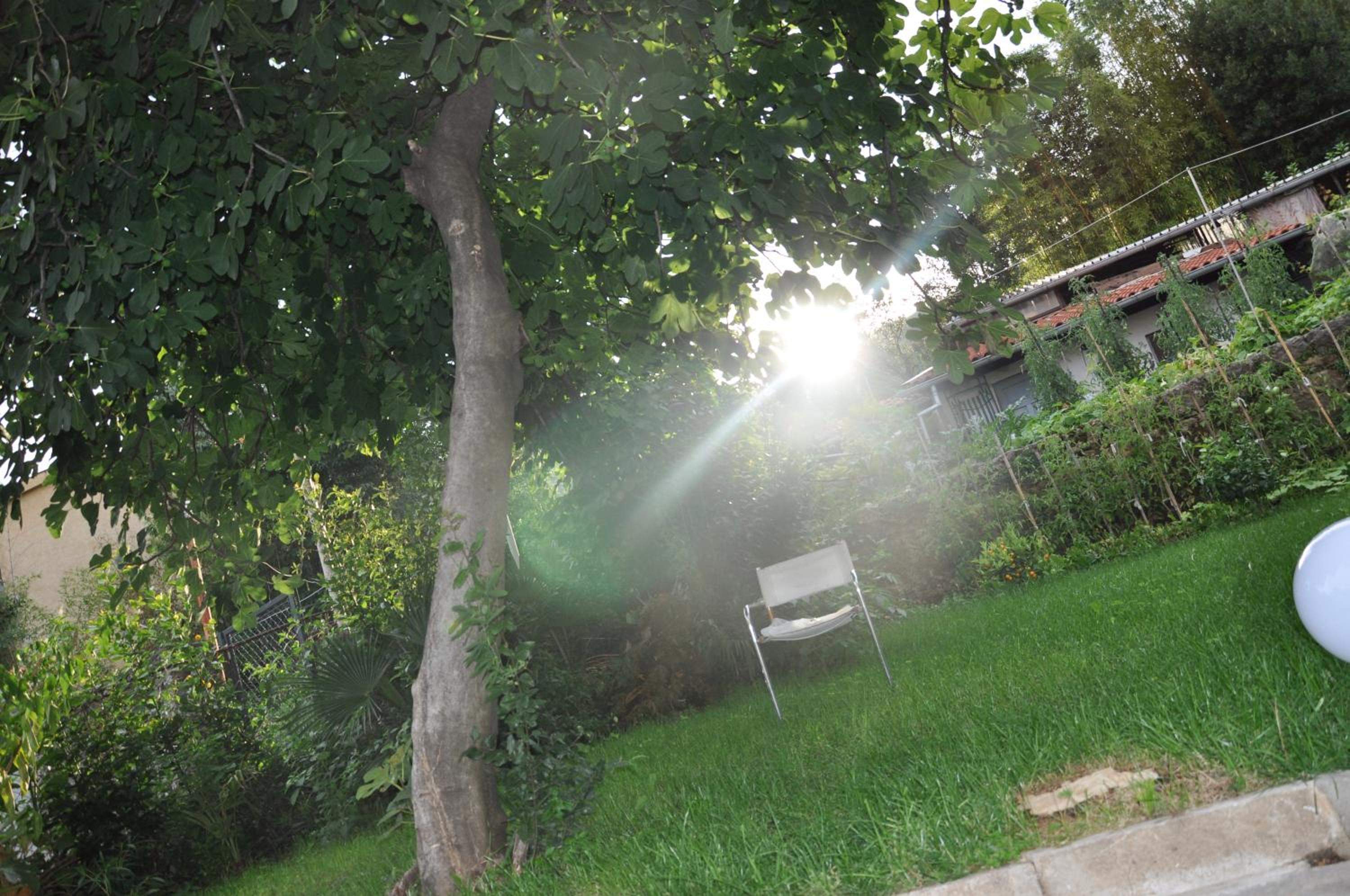 Photo 33