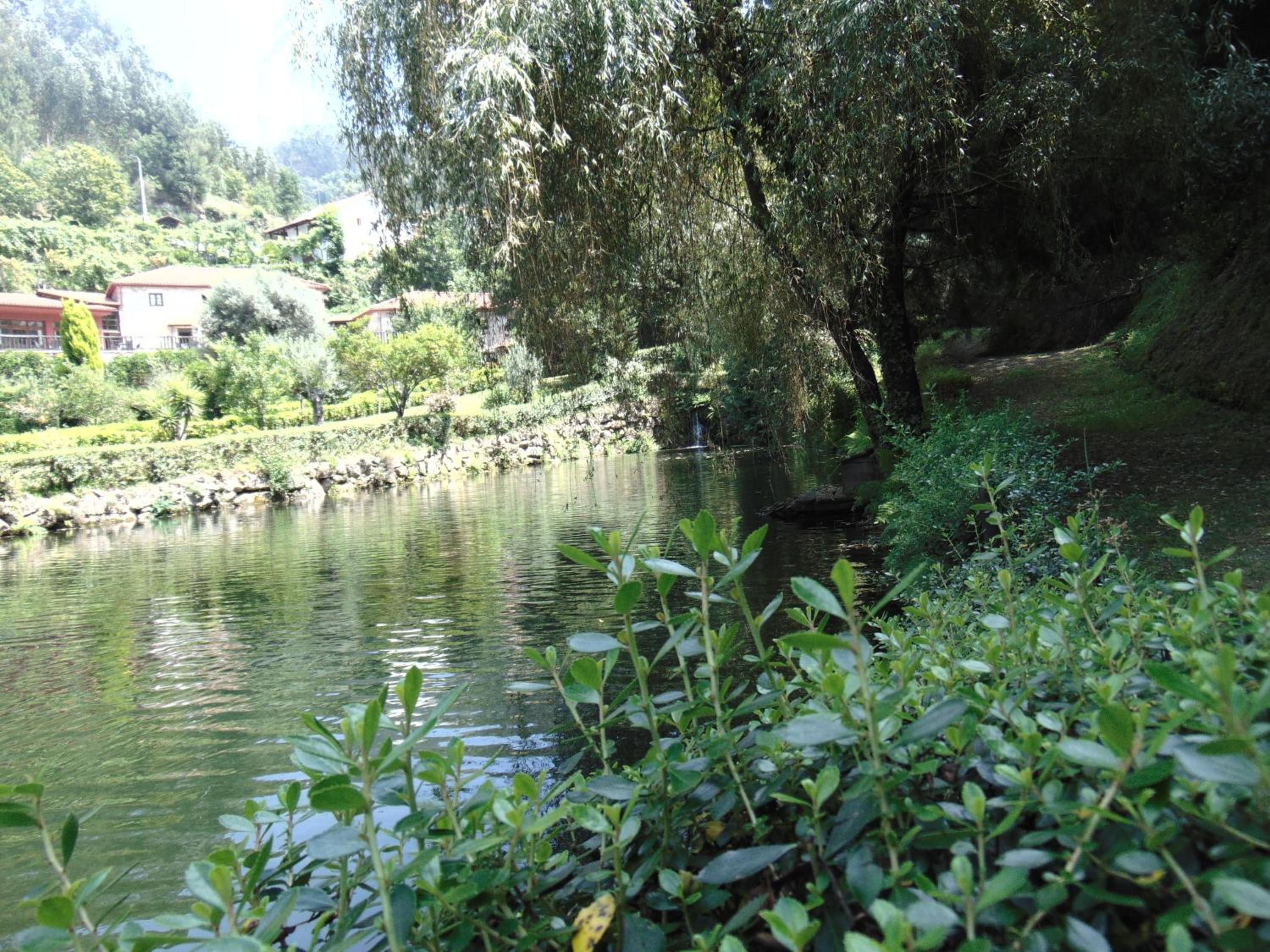 Photo 48