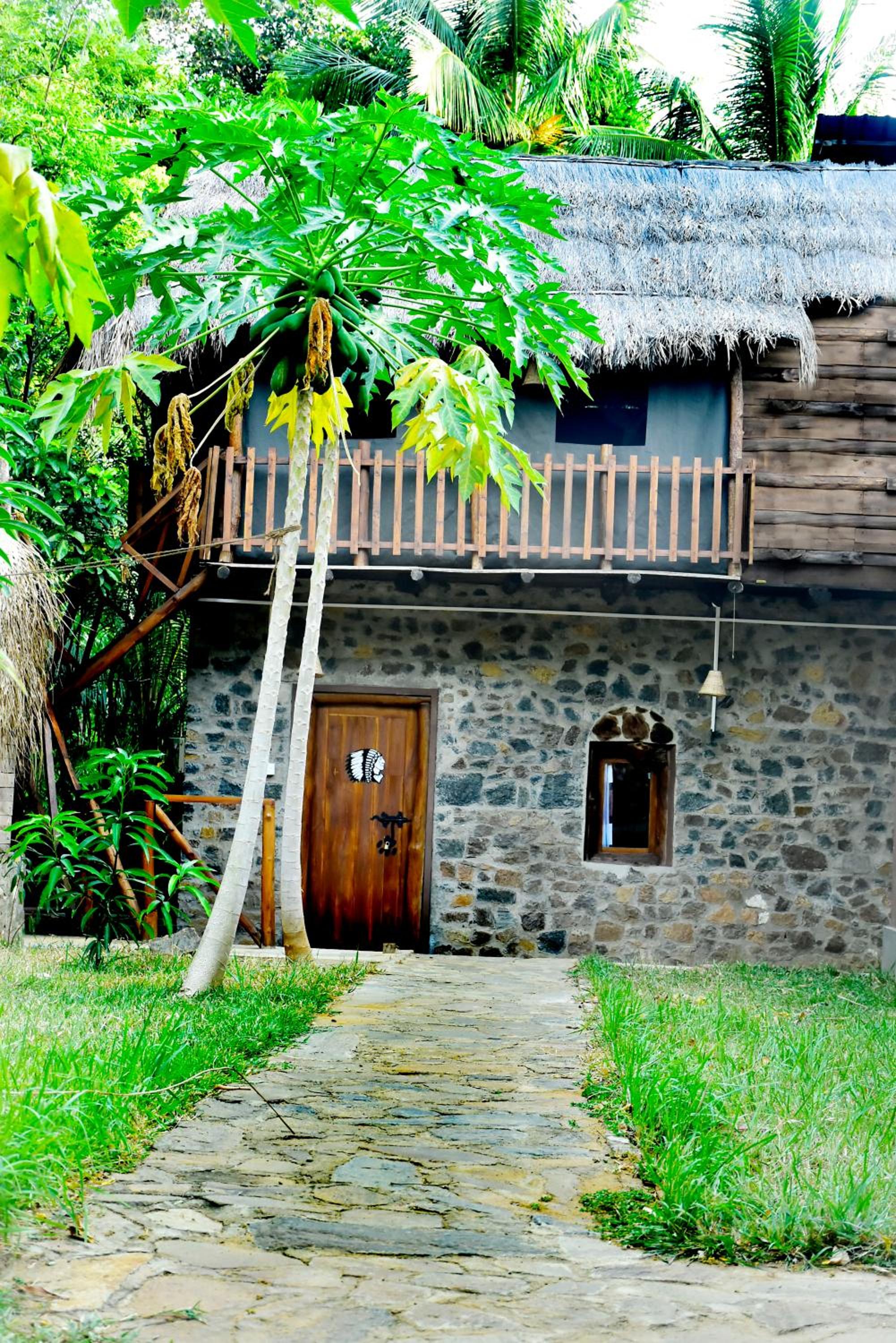 Lizard Safari Lodge