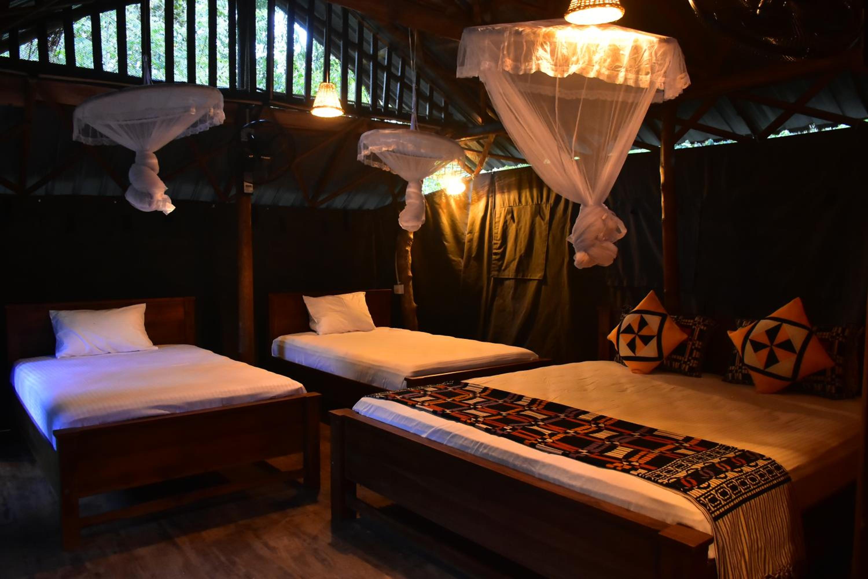 Lizard Safari Lodge