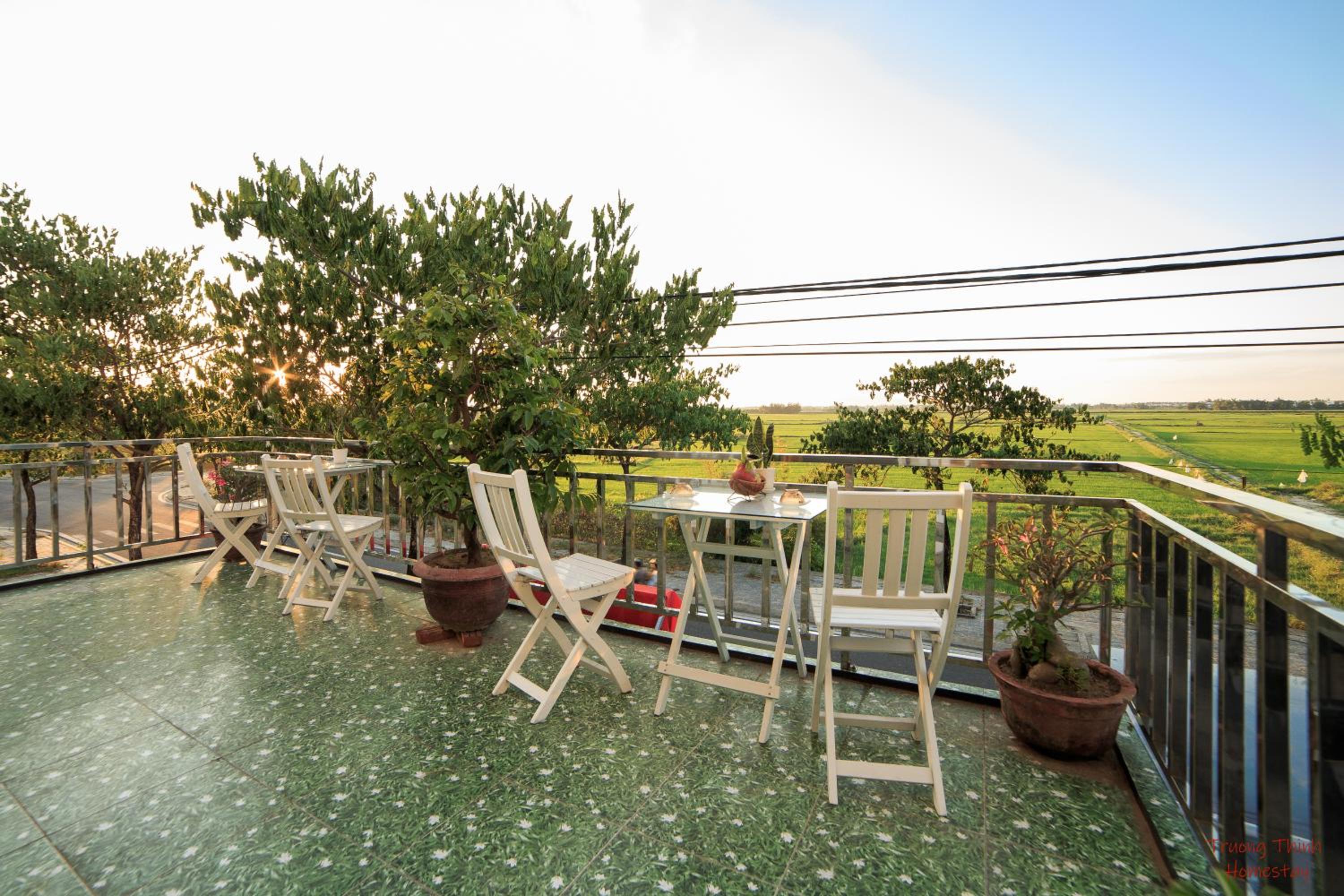 balance & terrace