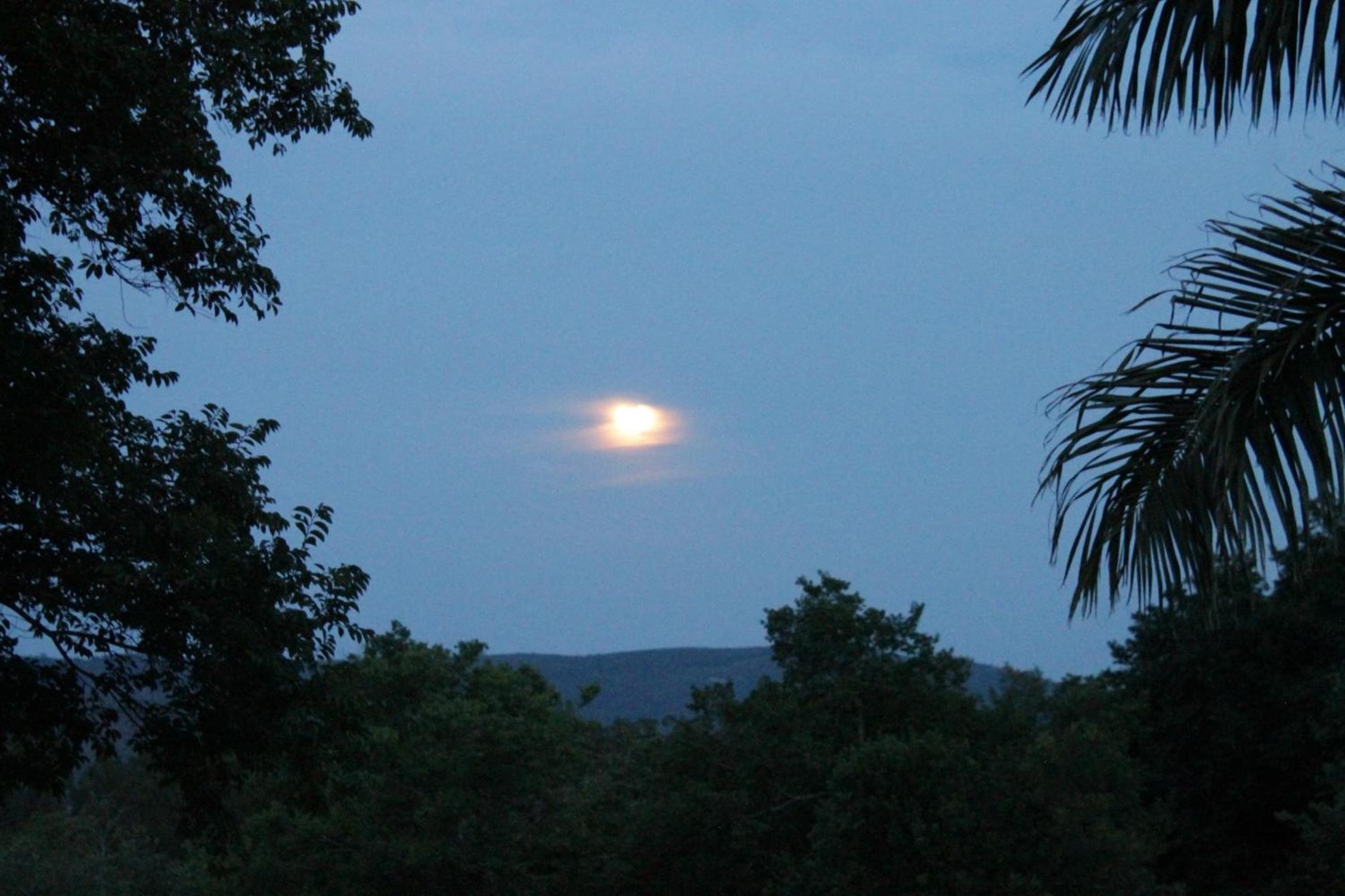 Hazyview Vacations - Cuckoo Ridge Country Retreat - Property Image 31