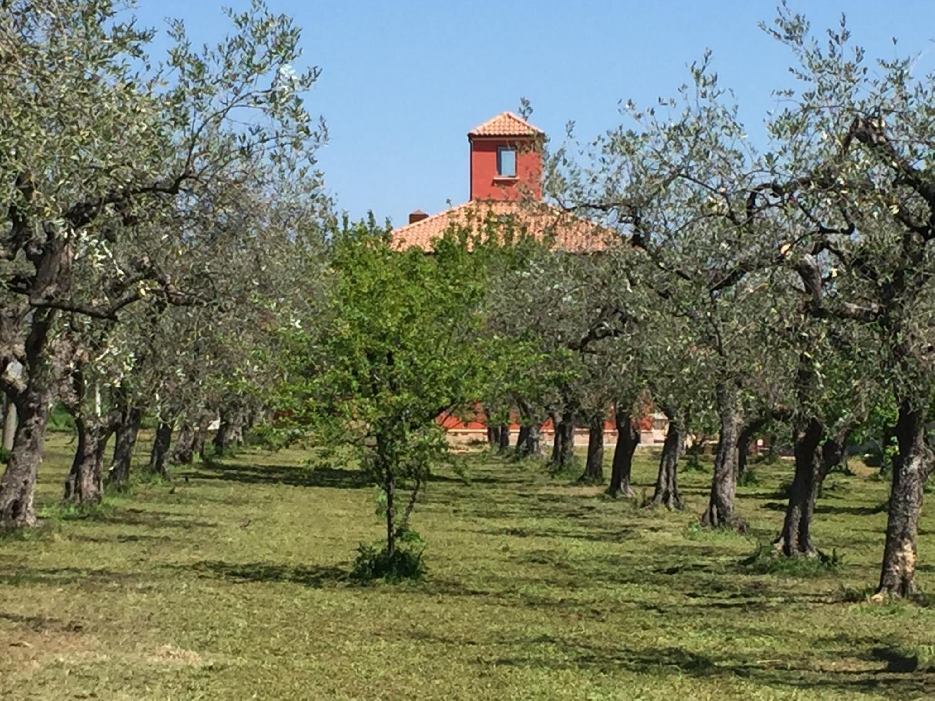 Tenuta Porello