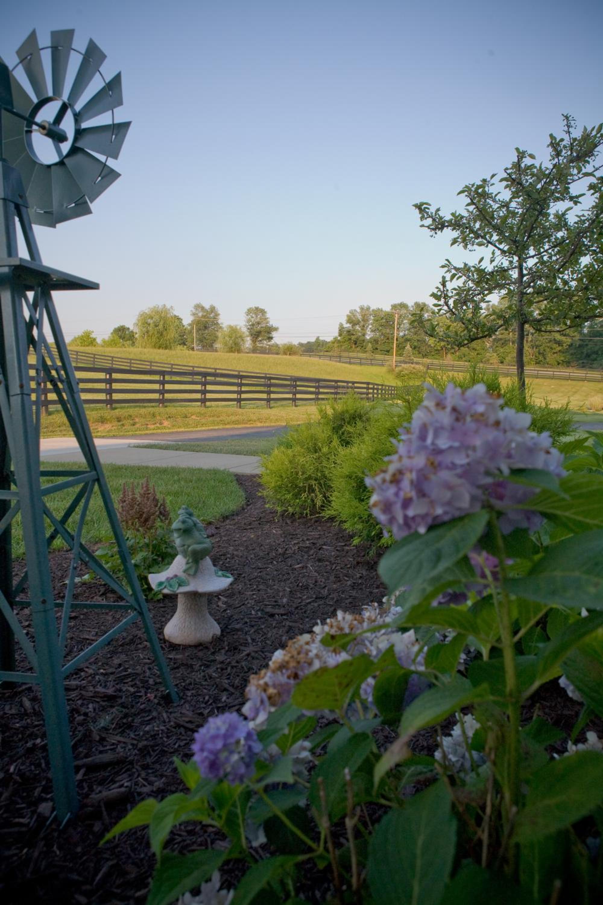 Pillow and Paddock B&B