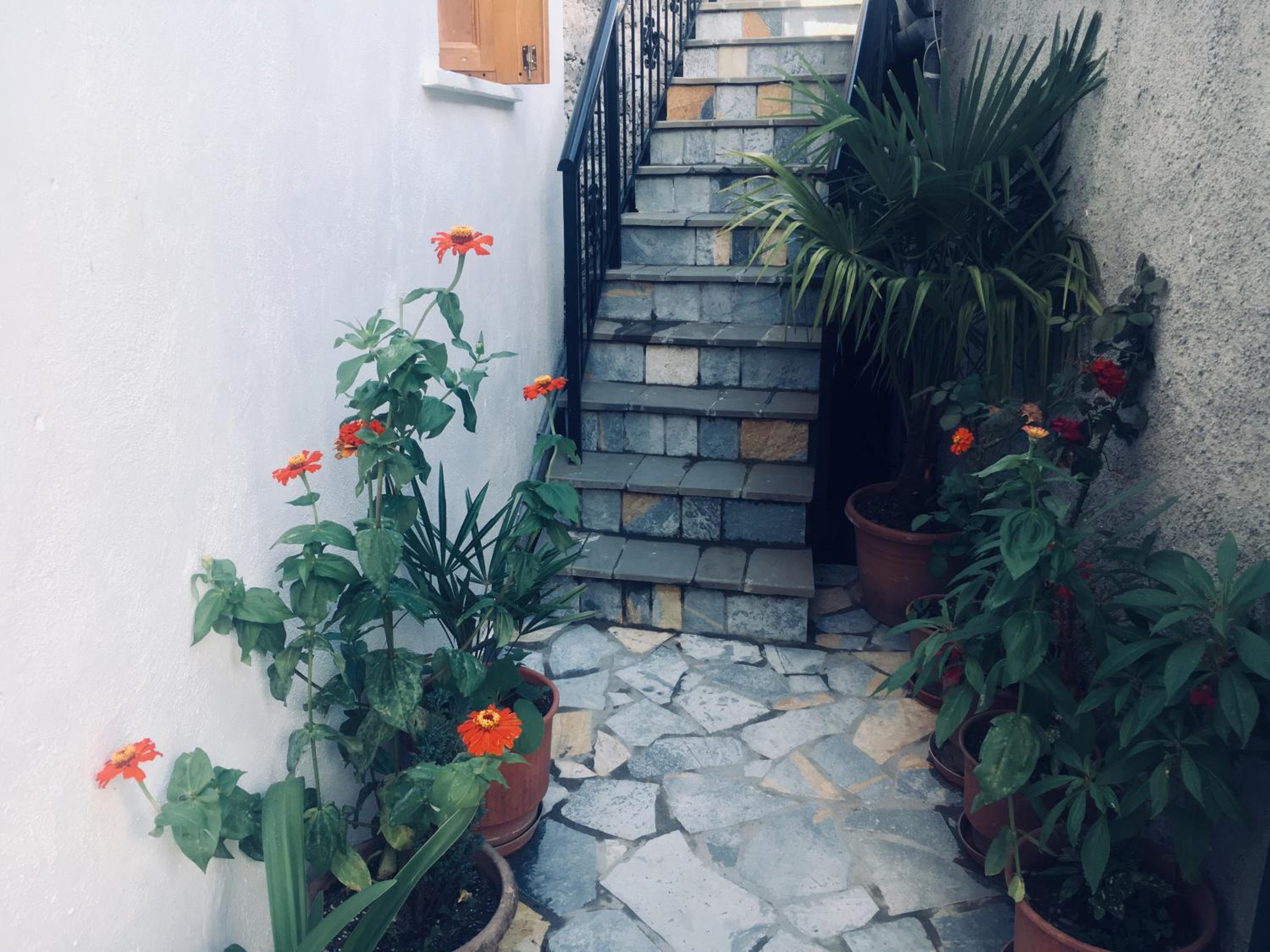 Kore Guest House