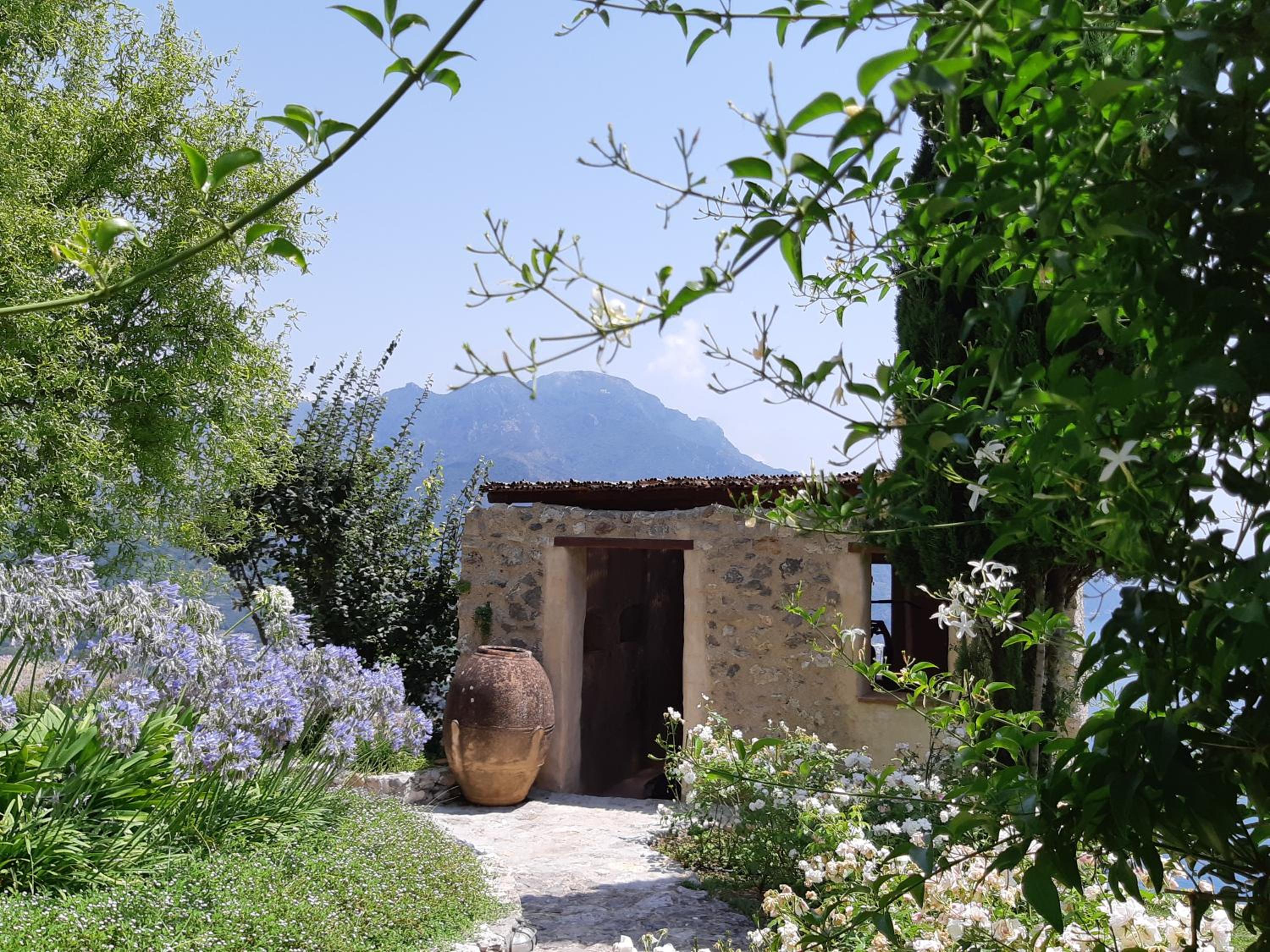 Eleanor' s Garden photo 2