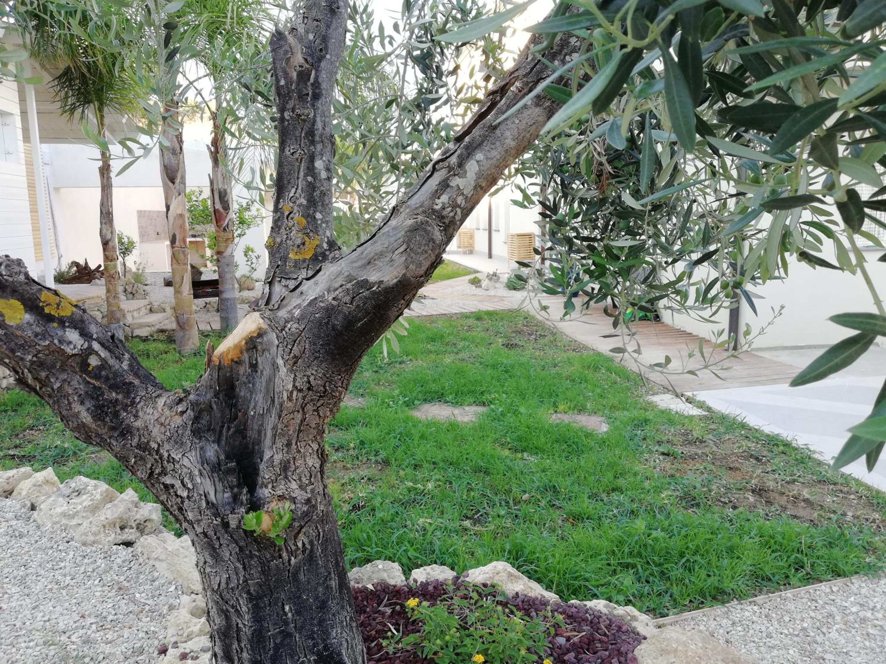 B&B Villa Kairos