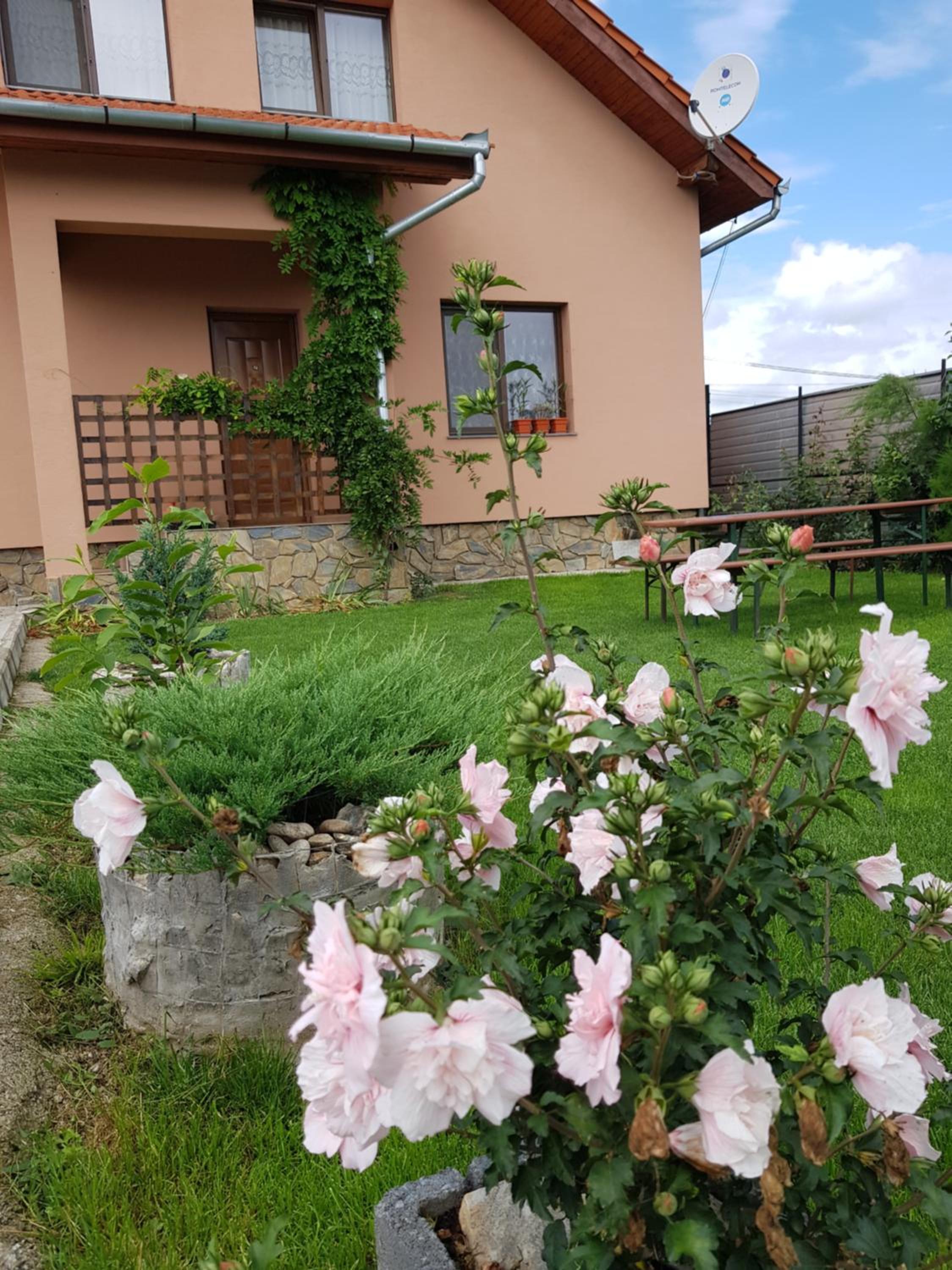 Casa Daria, photo 8