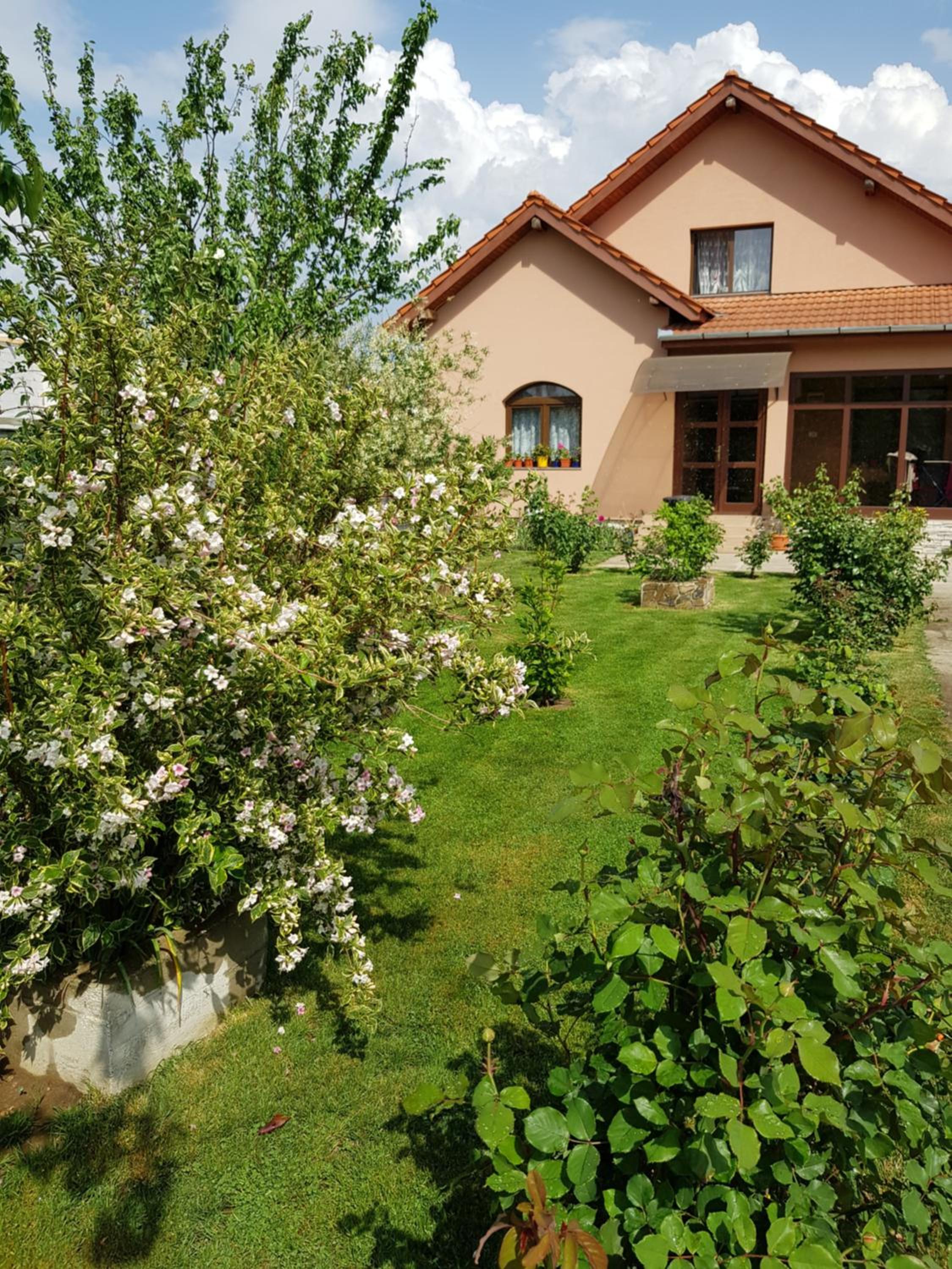Casa Daria, photo 16